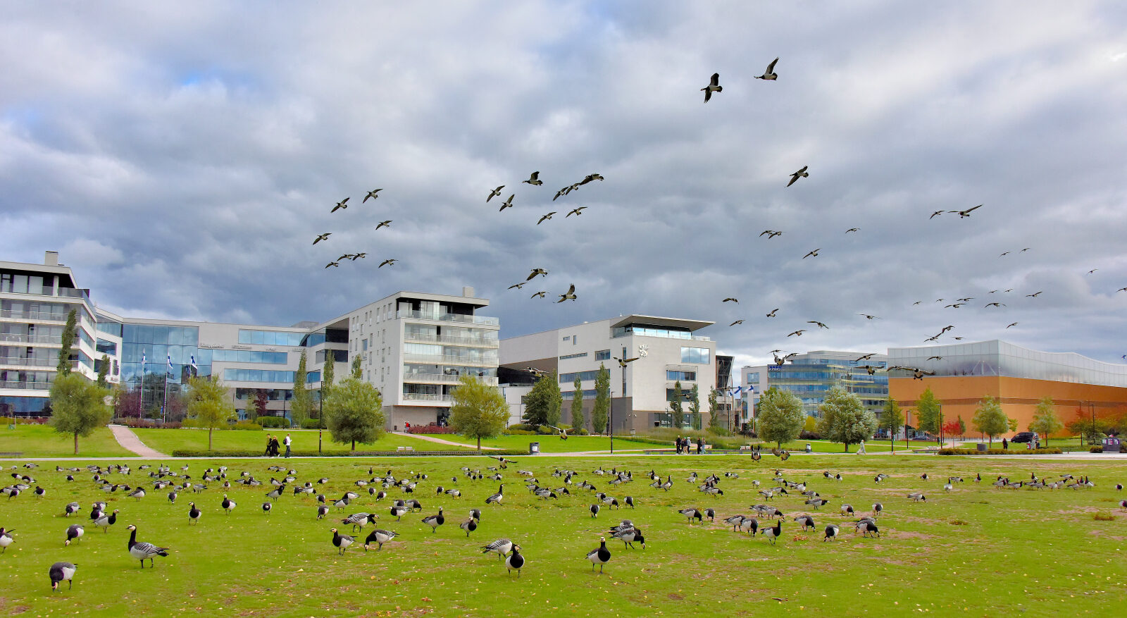 Valokuvaaja: Reijo Juurinen