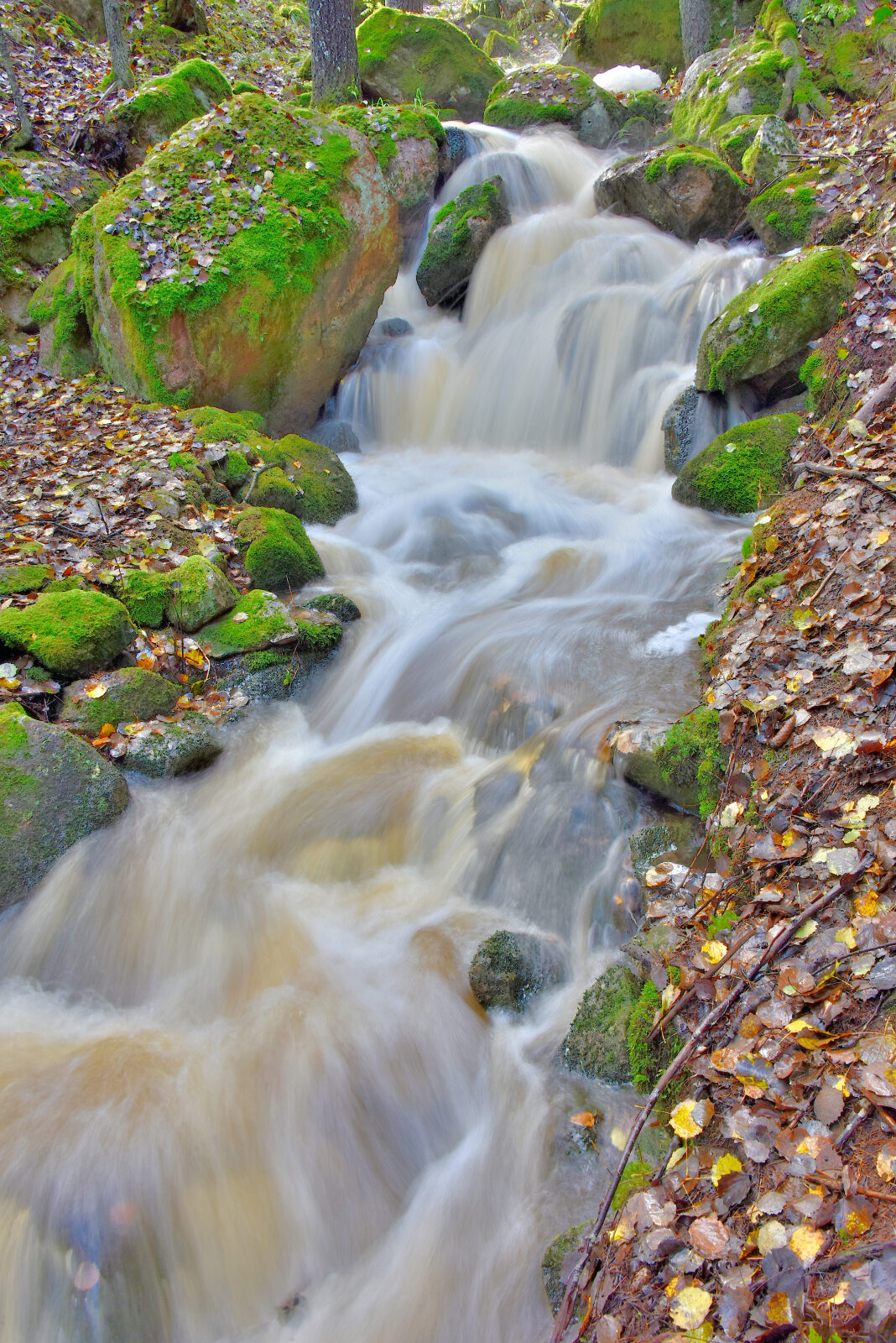 Valokuvaaja: Reijo Juurinen