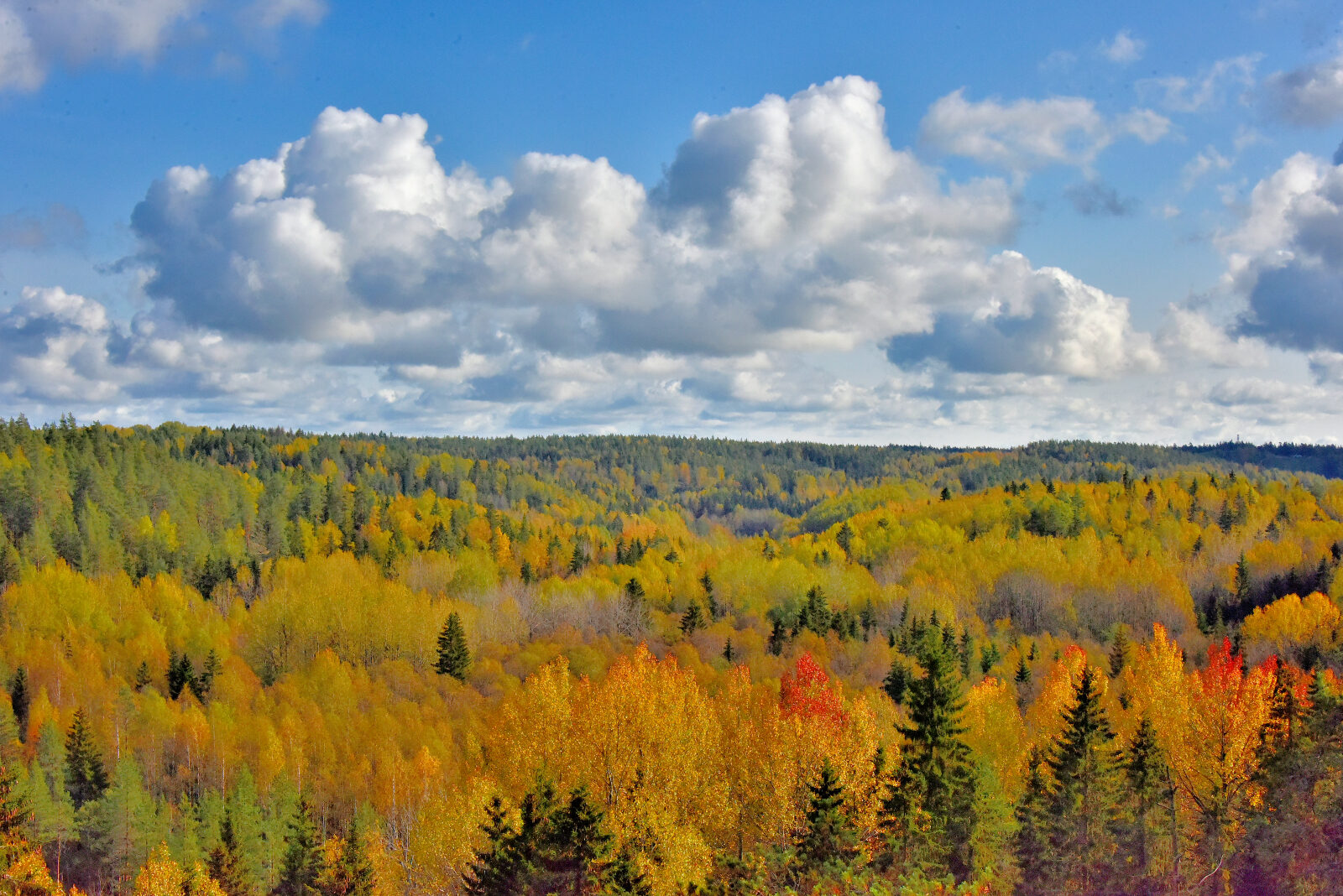 Valokuvaaja: Reijo Juurinen