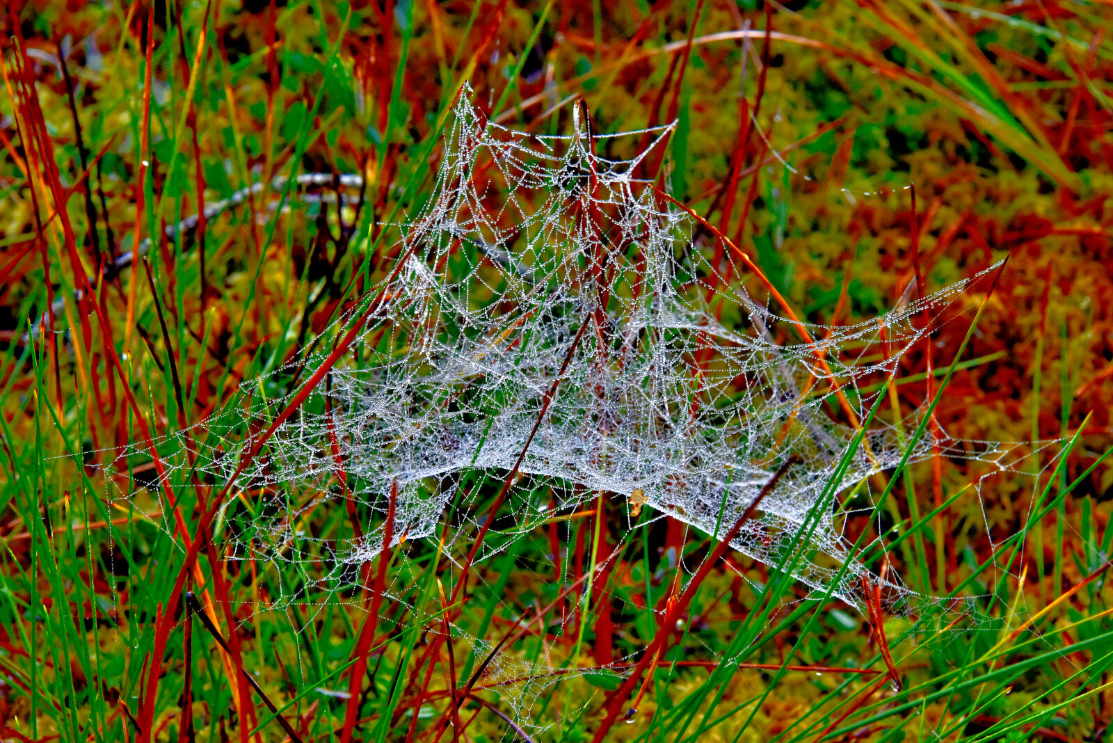 Valokuvaaja: Reijo Juurinen