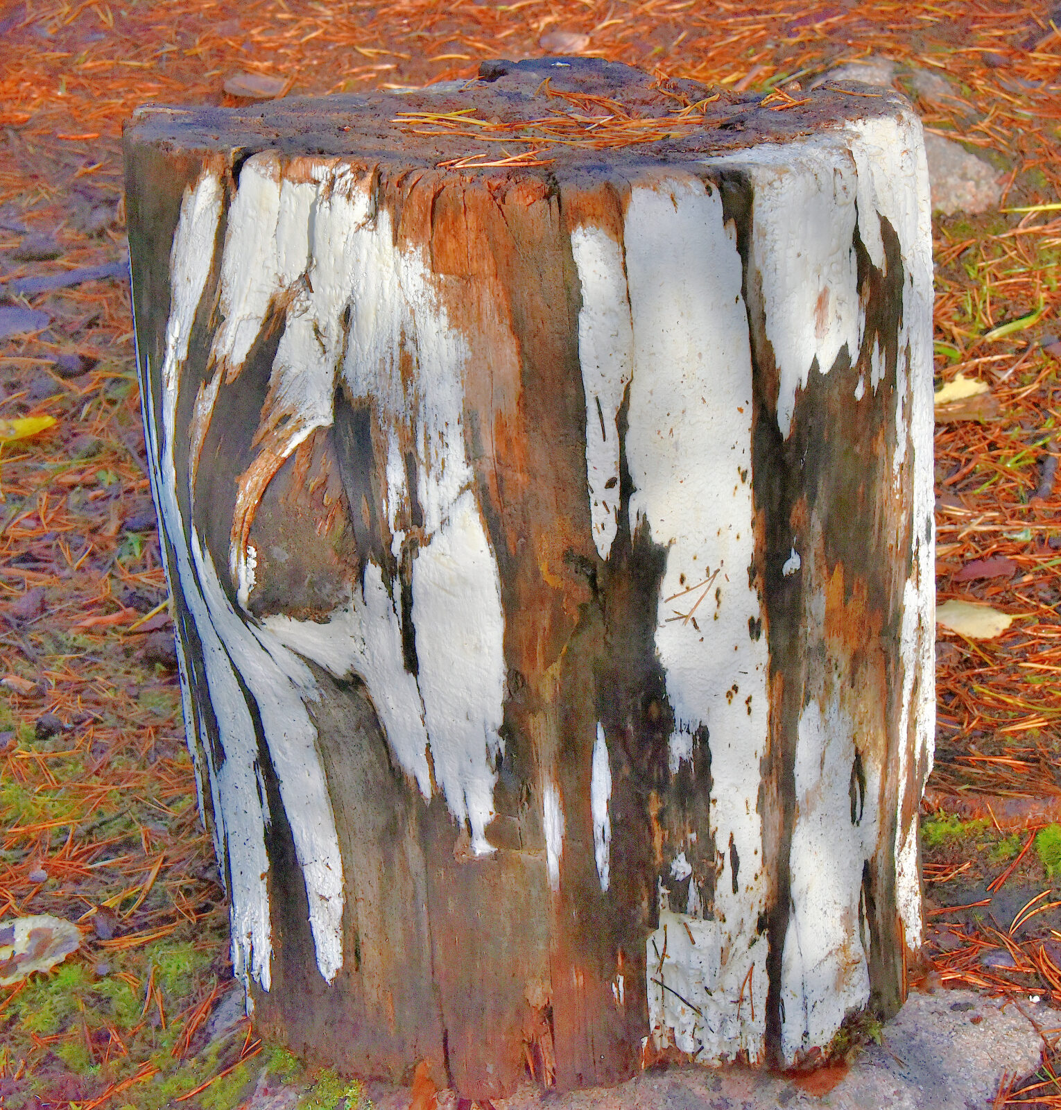 Valokuvaaja: Reijo Juurinen