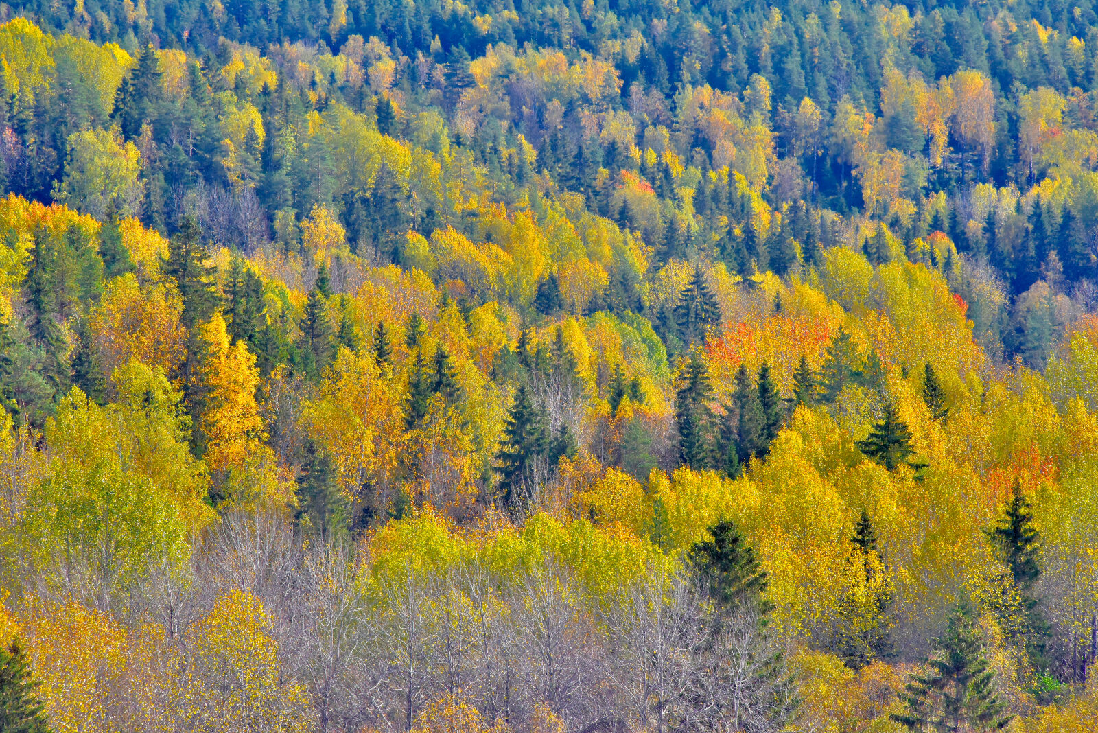 Valokuvaaja: Reijo Juurinen