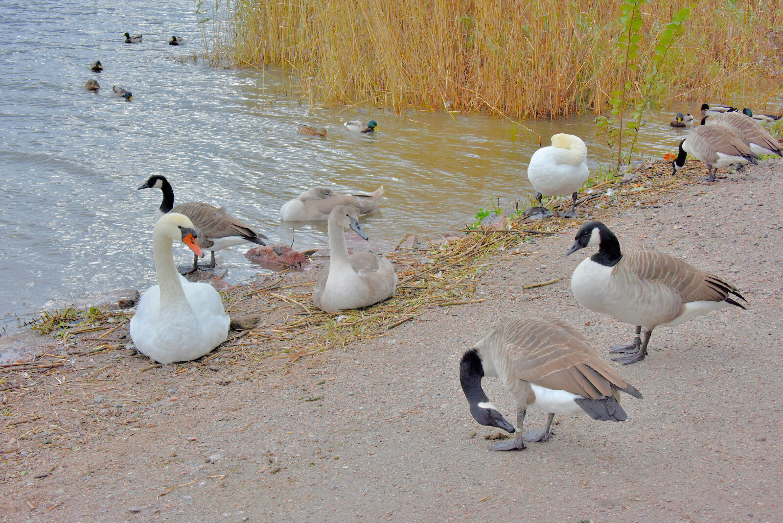 Valokuvaaja: Reijo Juurinen