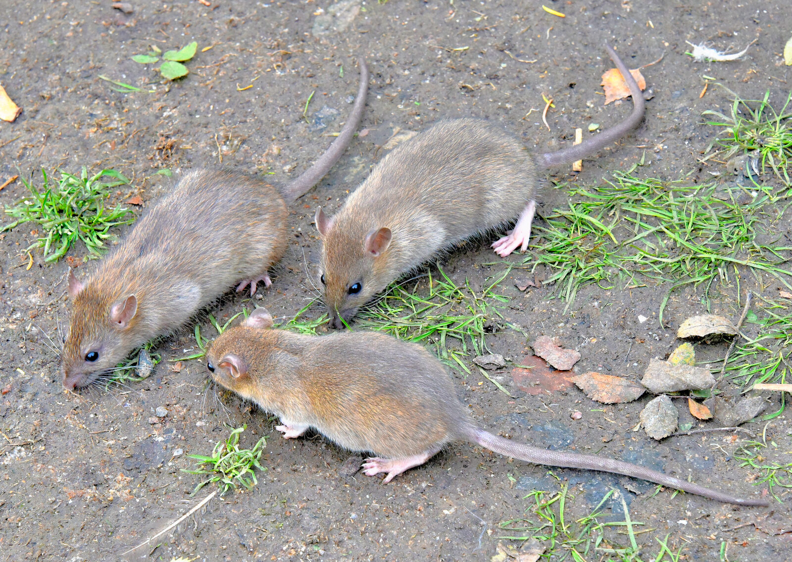 Valokuvaaja: Reijo Juurinen