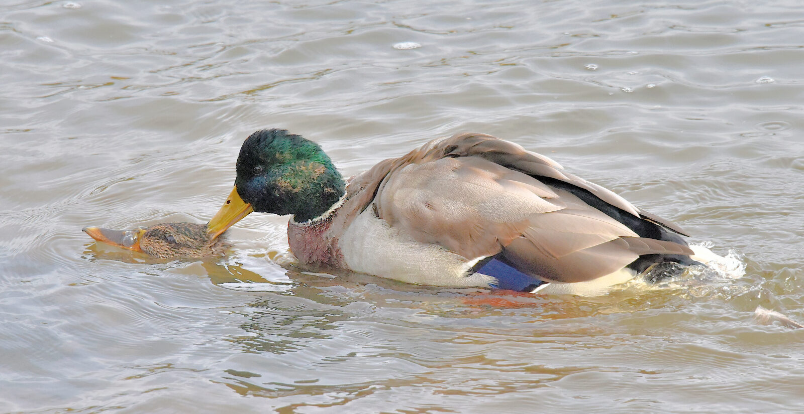 Valokuvaaja: Reijo Juurinen