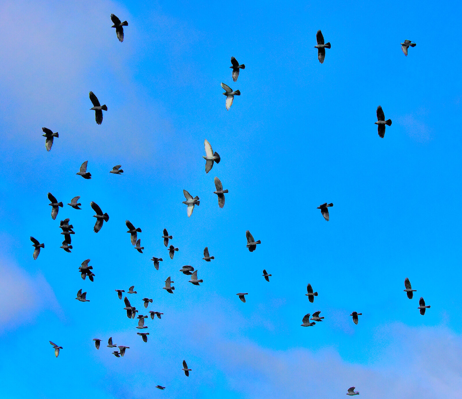 Valokuvaaja: Reijo Juurinen