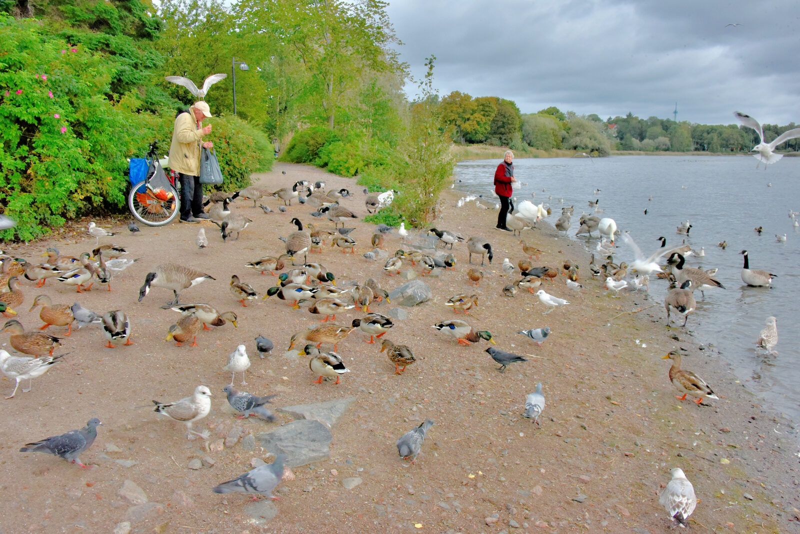 Valokuvaaja: Reijo Juurinen