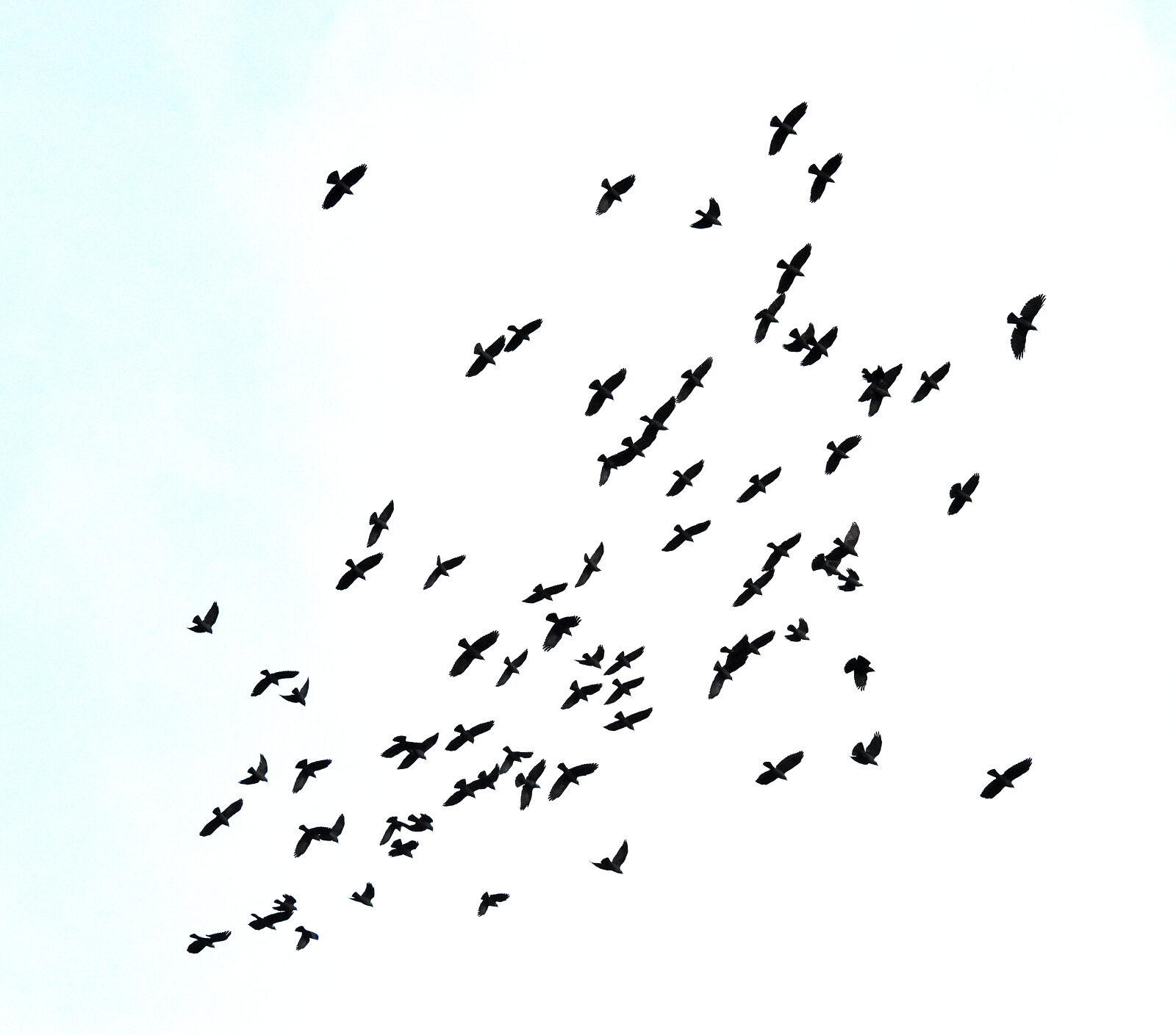 Valokuvaaja: Reijo Juurinen