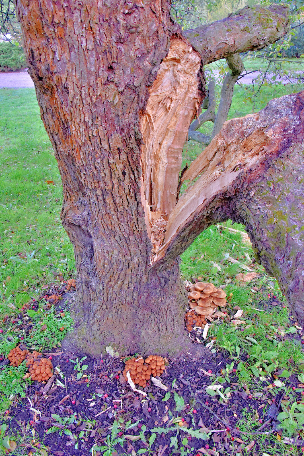 Valokuvaaja: Reijo Juurinen