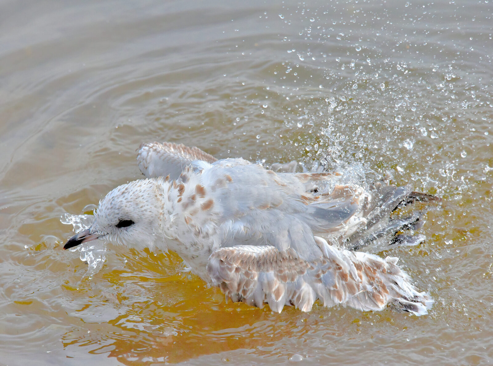 Valokuvaaja: Reijo Juurinen