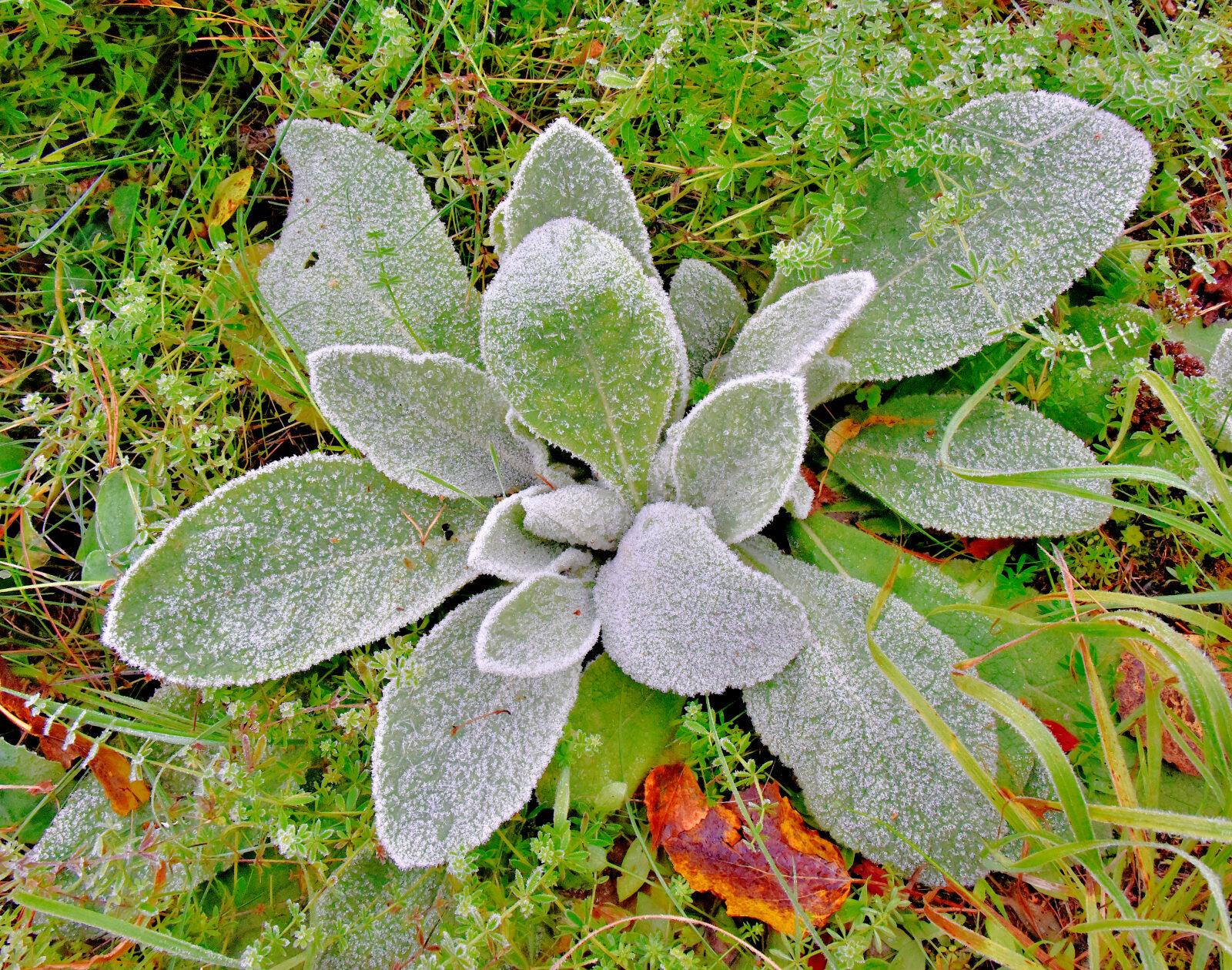 Valokuvaaja: Reijo Juurinen