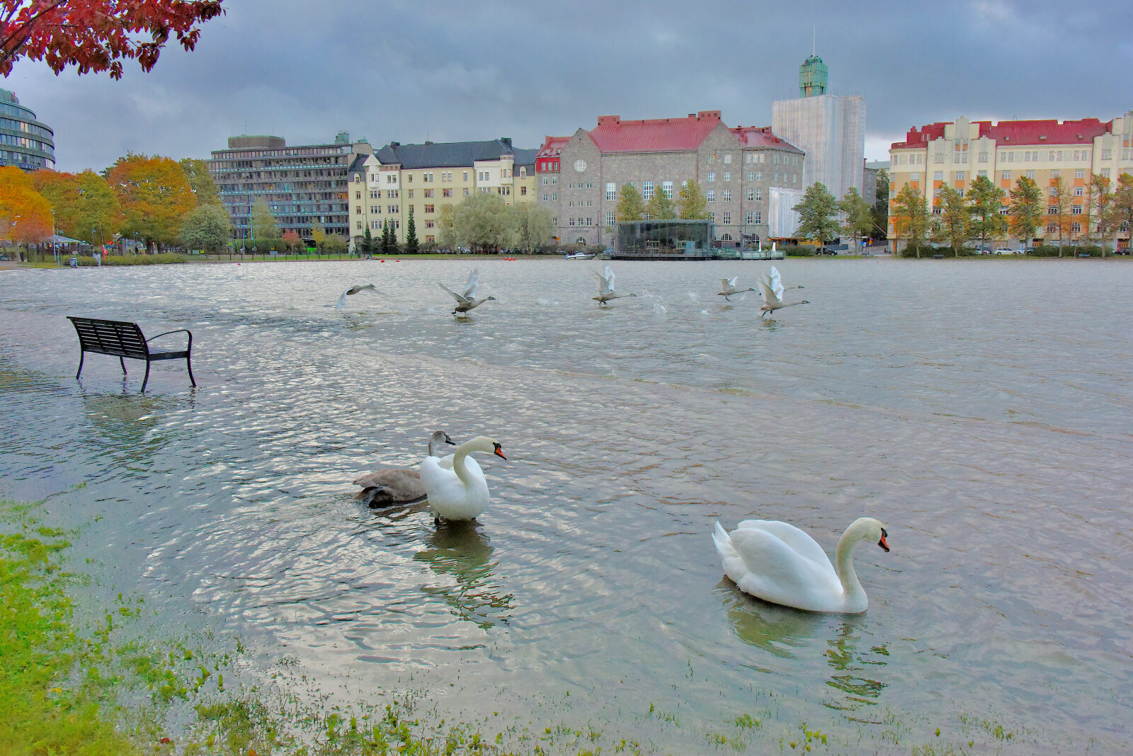 Valokuvaaja: Reijo Juurinen