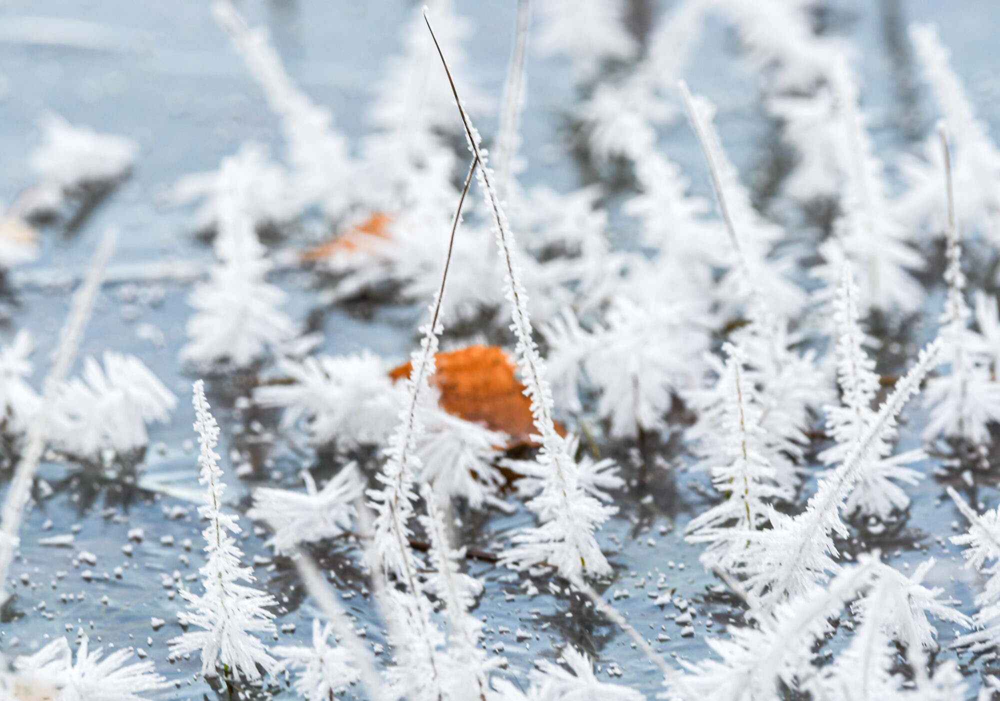 Valokuvaaja: Leena Rissanen