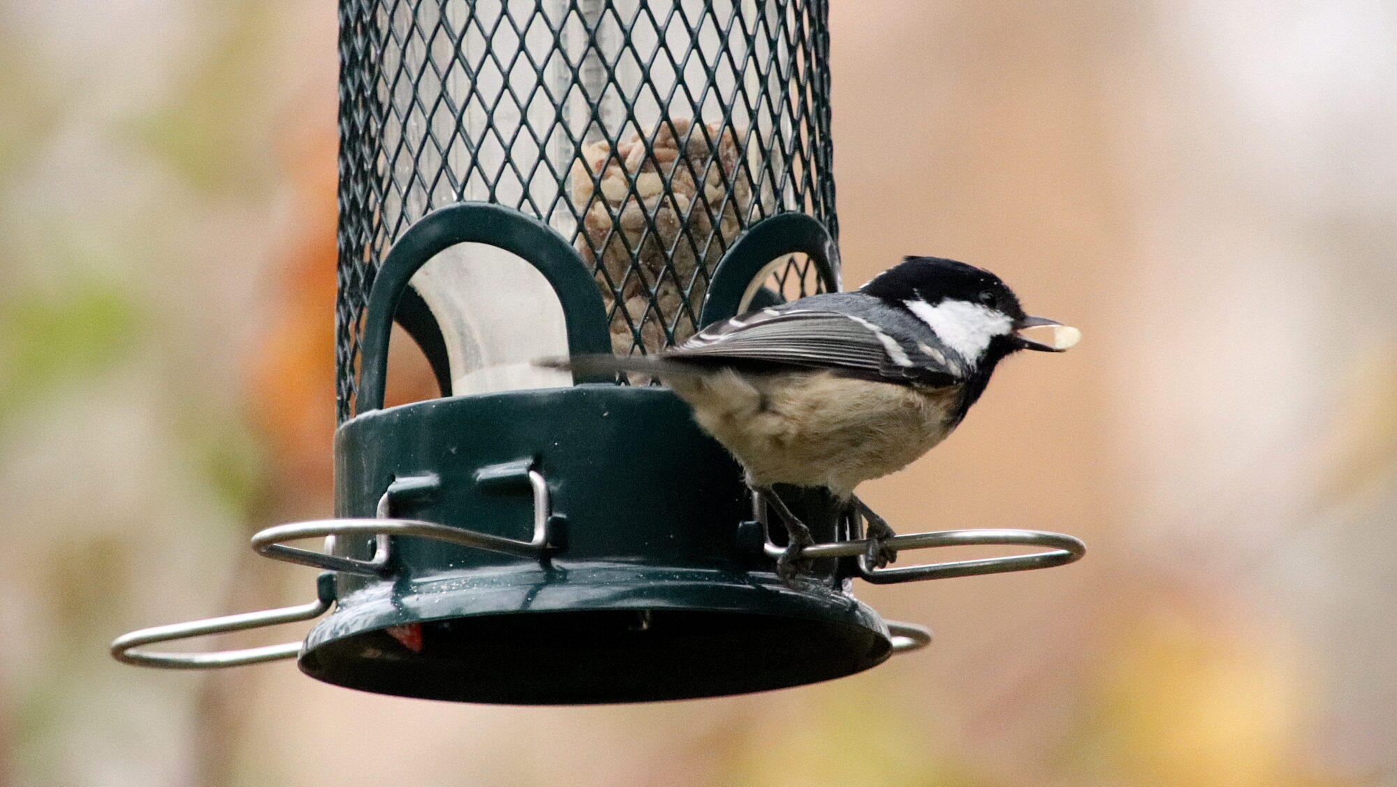 Valokuvaaja: sirpa Jyske