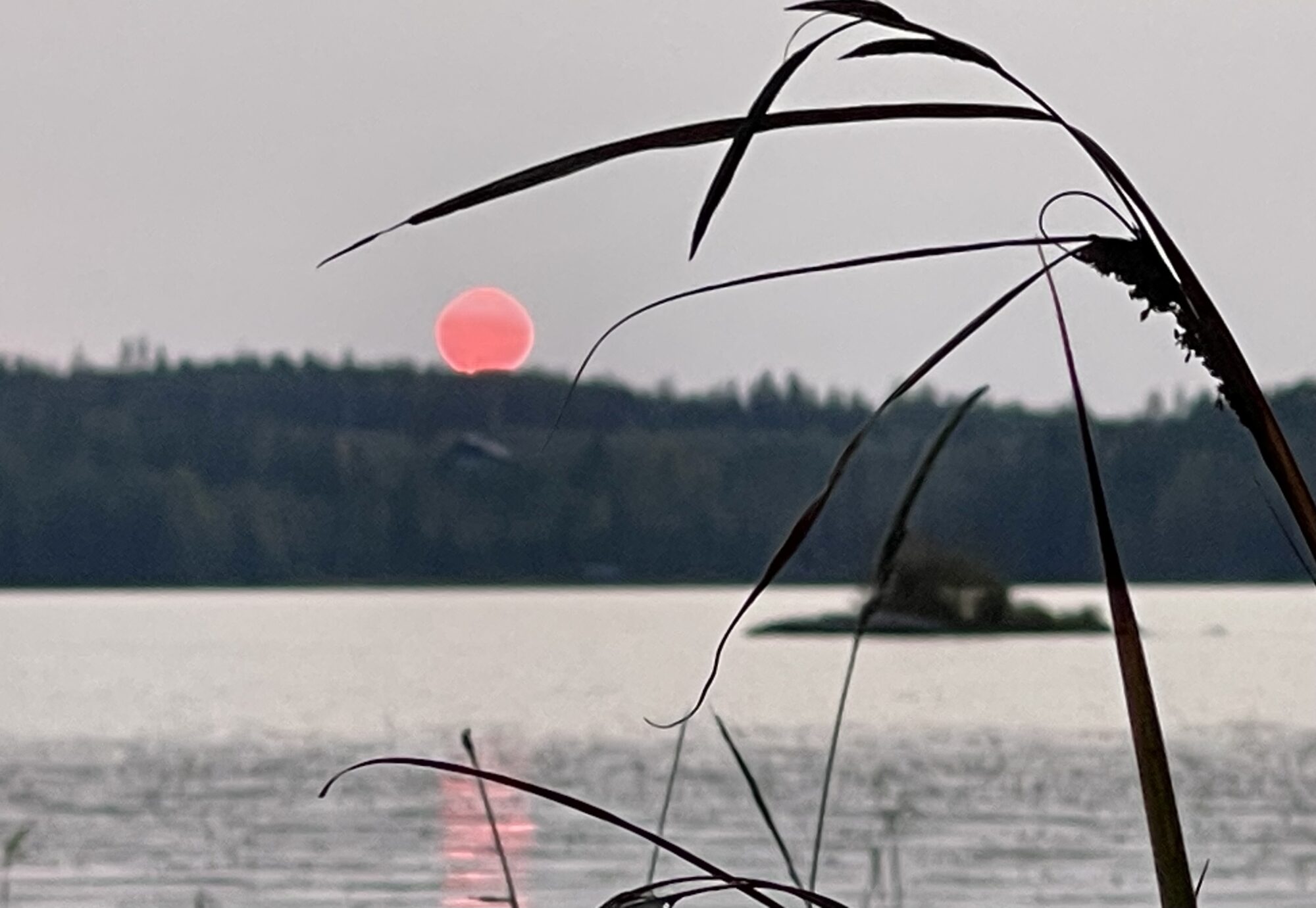 Valokuvaaja: Liisa Niiva-Korpela