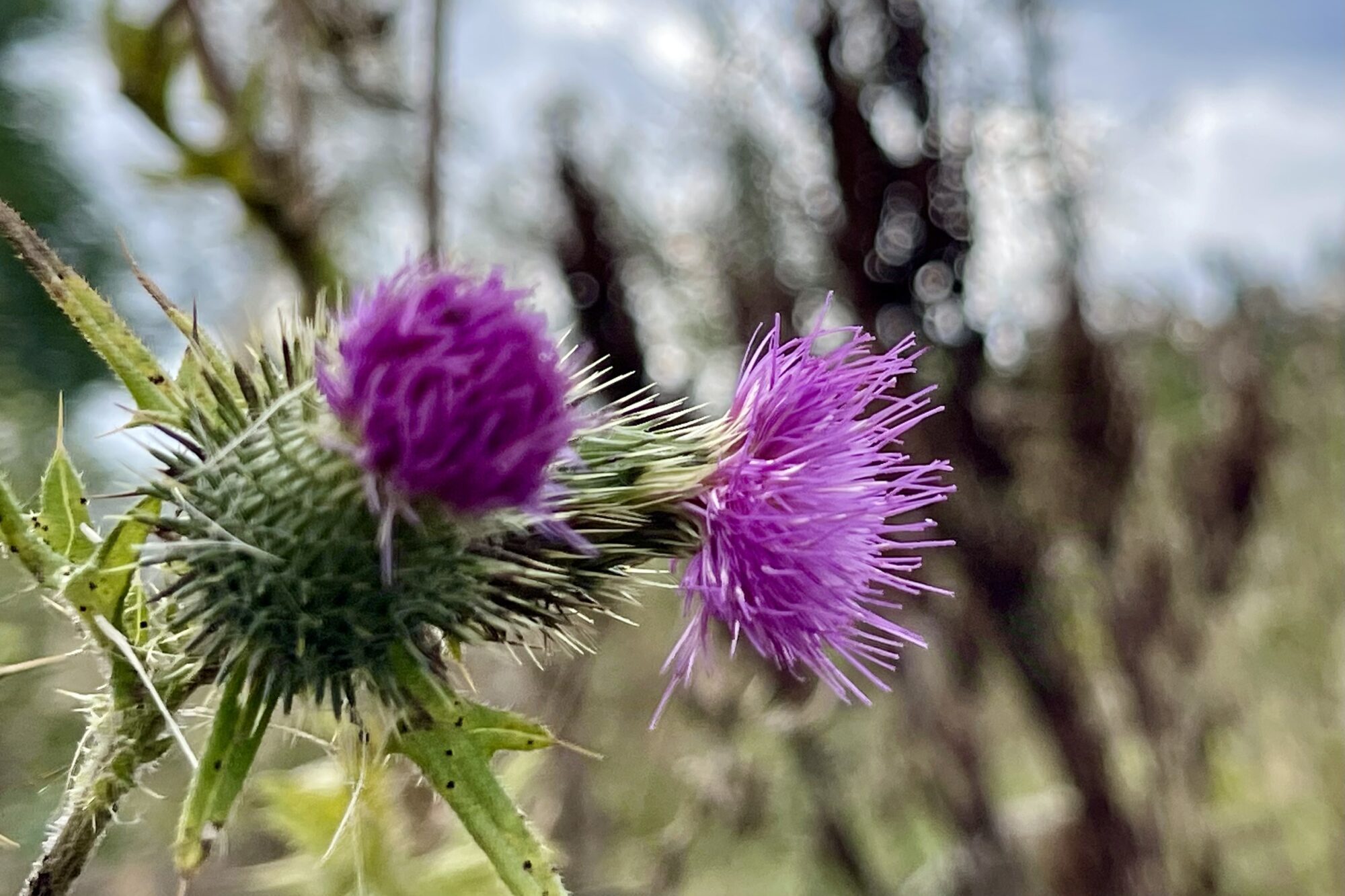 Valokuvaaja: Liisa Niiva-Korpela