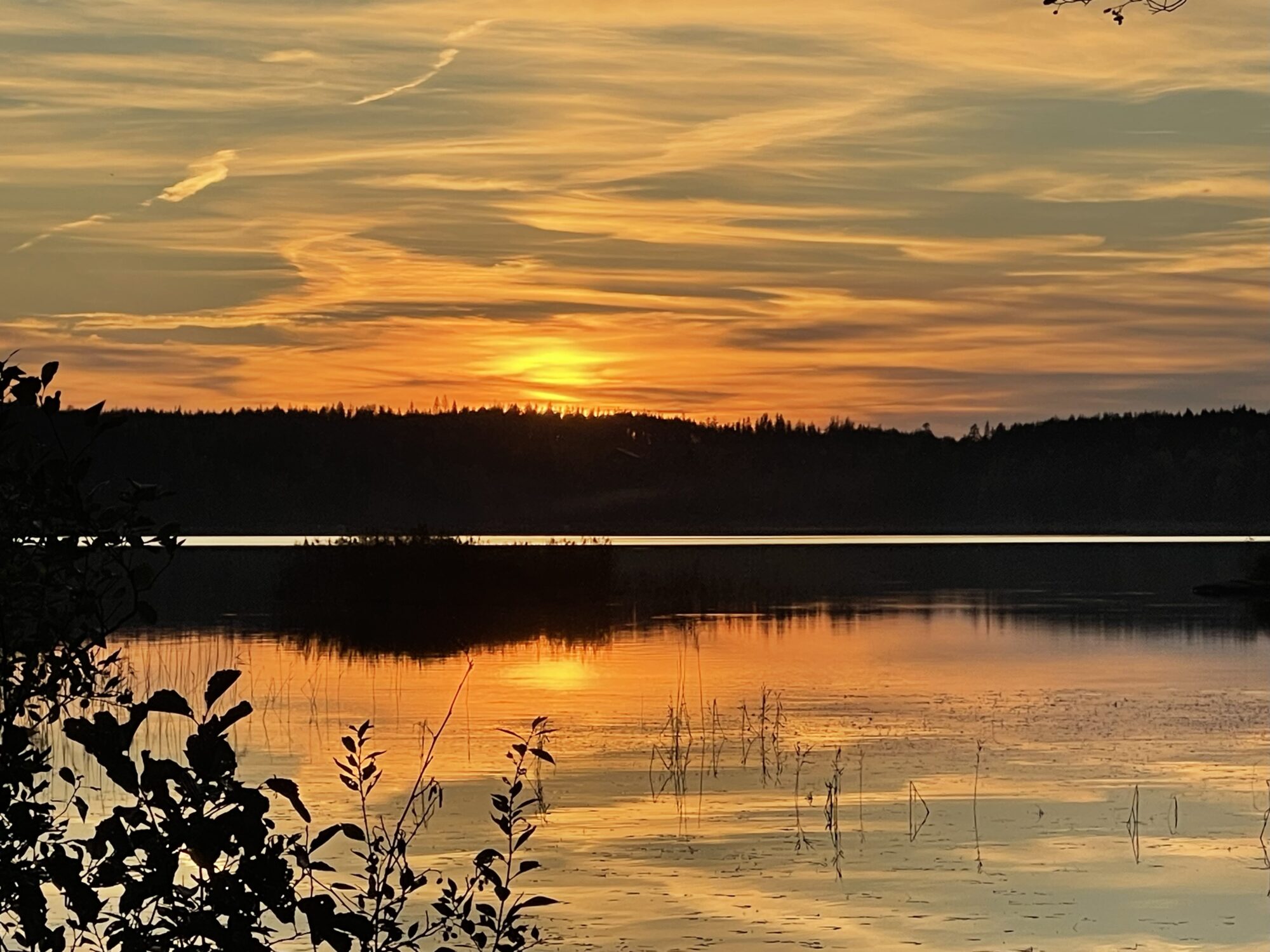 Valokuvaaja: Liisa Niiva-Korpela