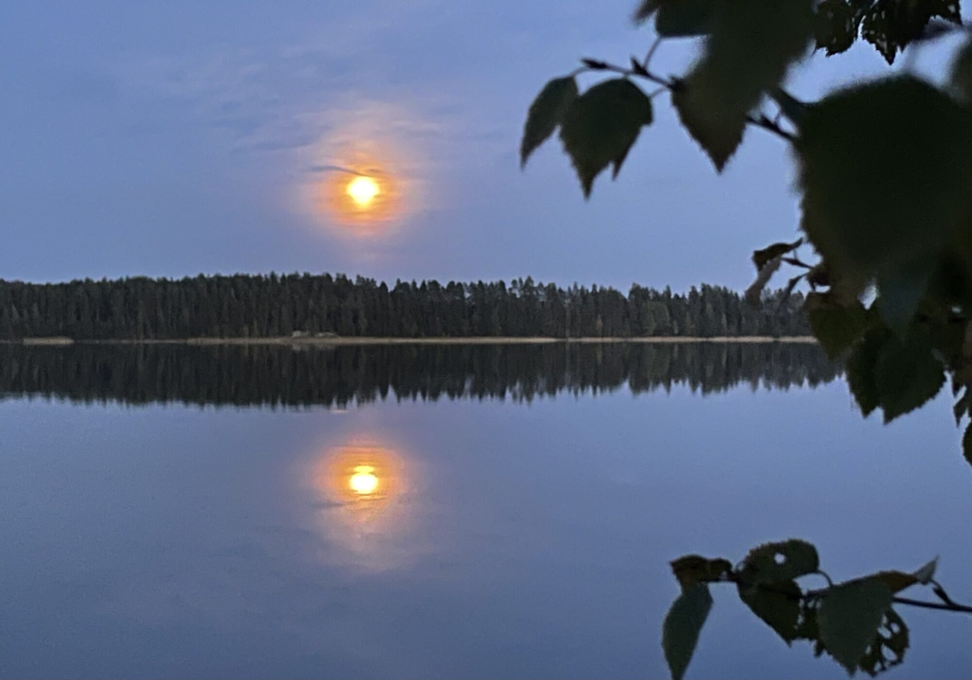 Valokuvaaja: Liisa Niiva-Korpela