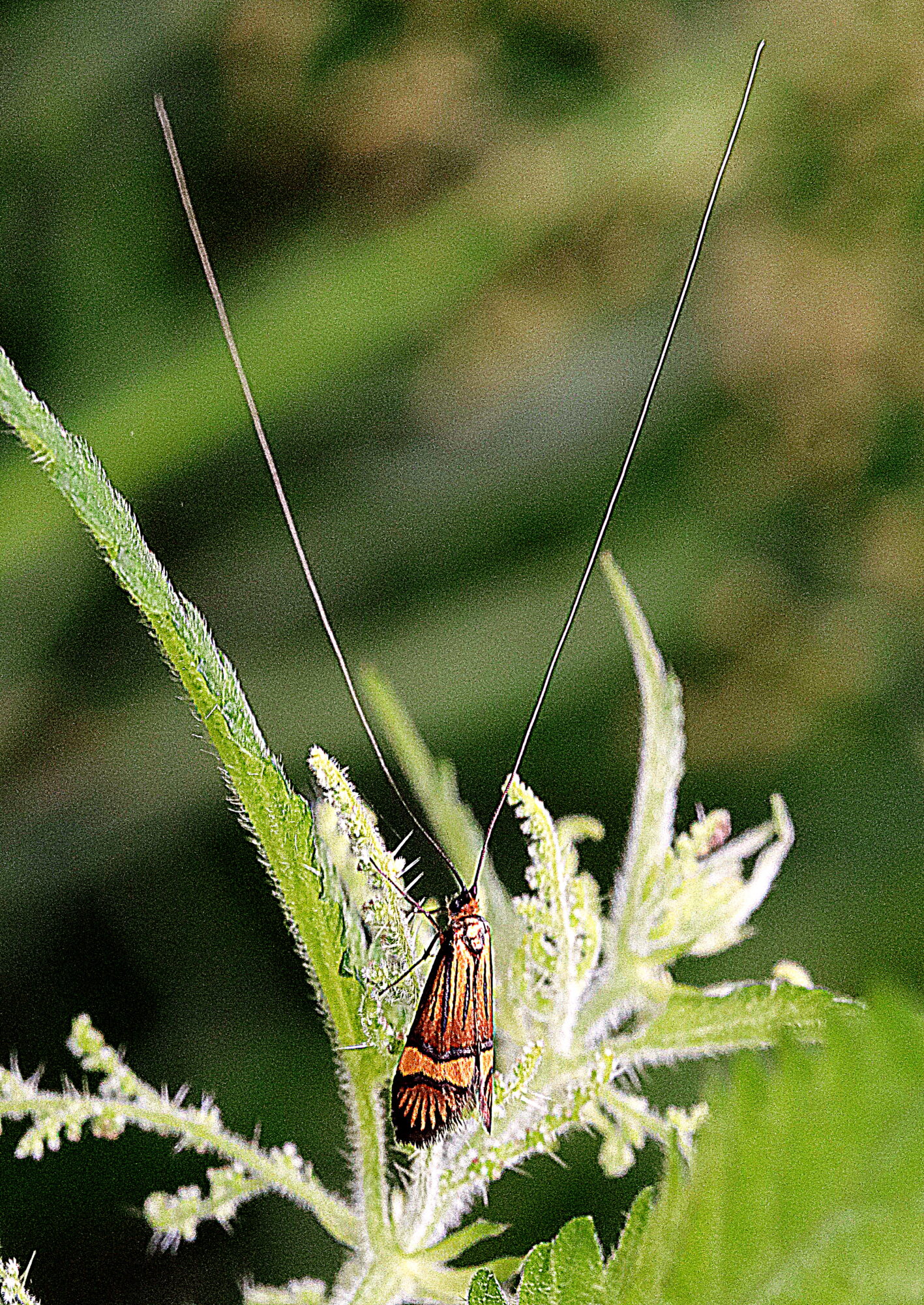 Valokuvaaja: Hannu Rasiranta