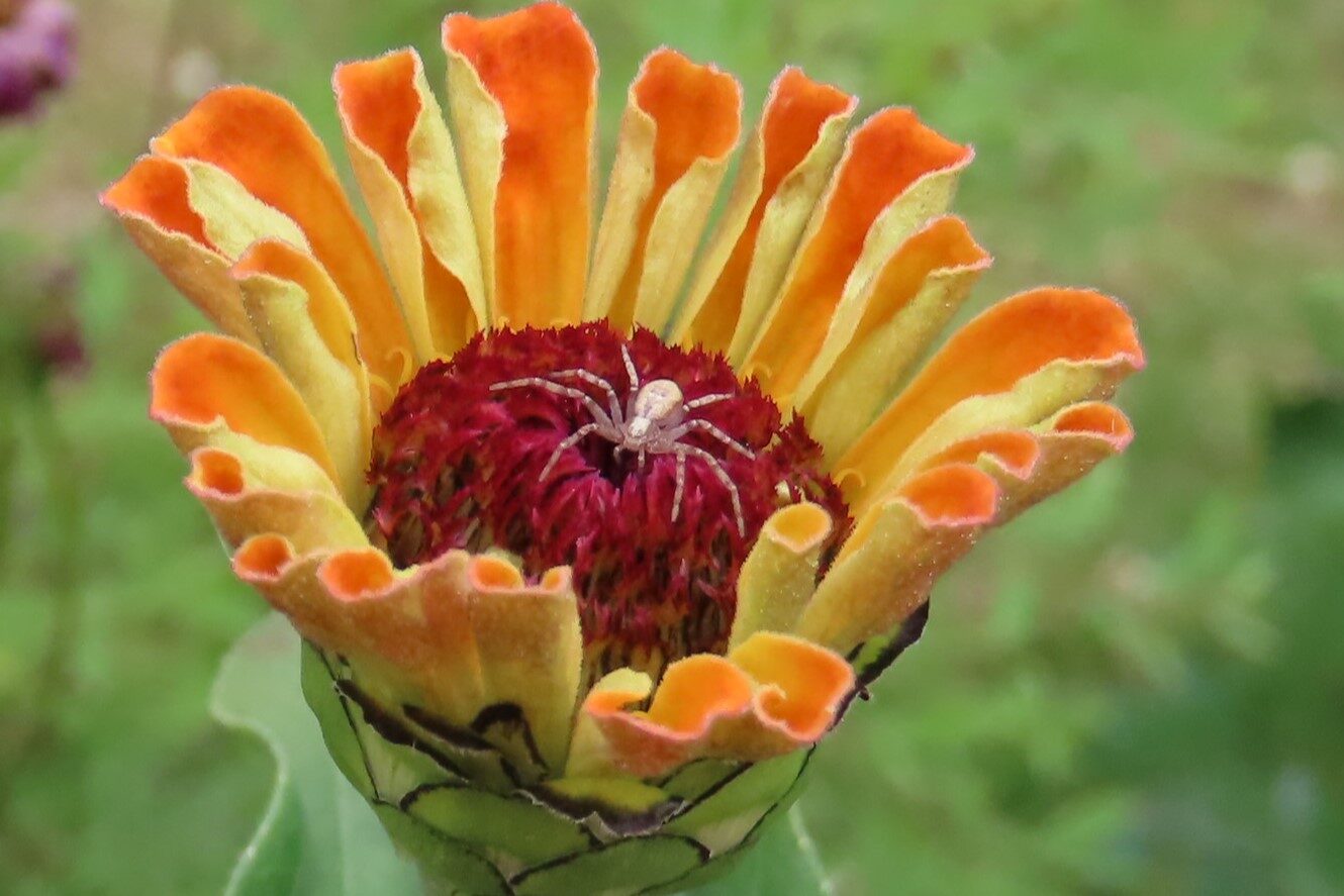 Valokuvaaja: Tarja-Riitta Koivisto