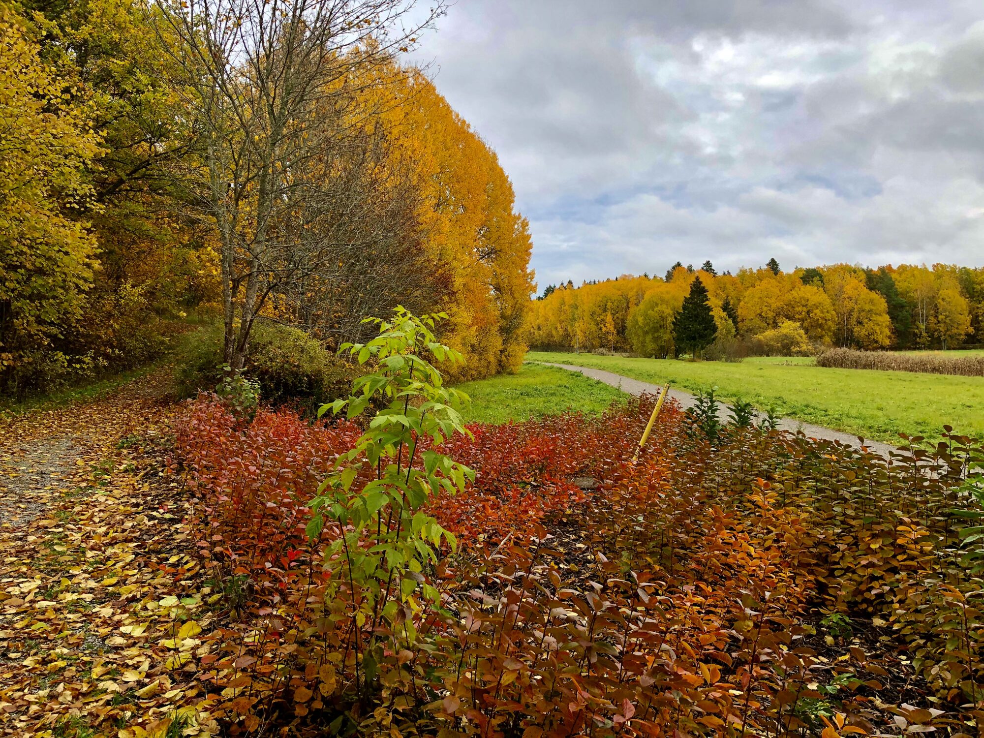 Valokuvaaja: Juhani Peltonen