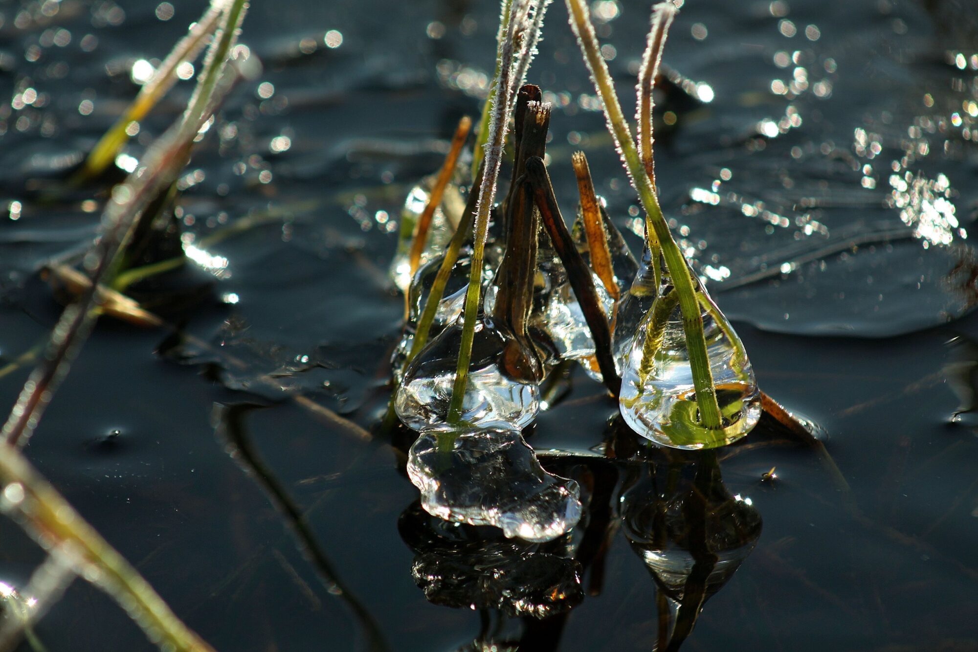 Valokuvaaja: Pirkko Siukonen