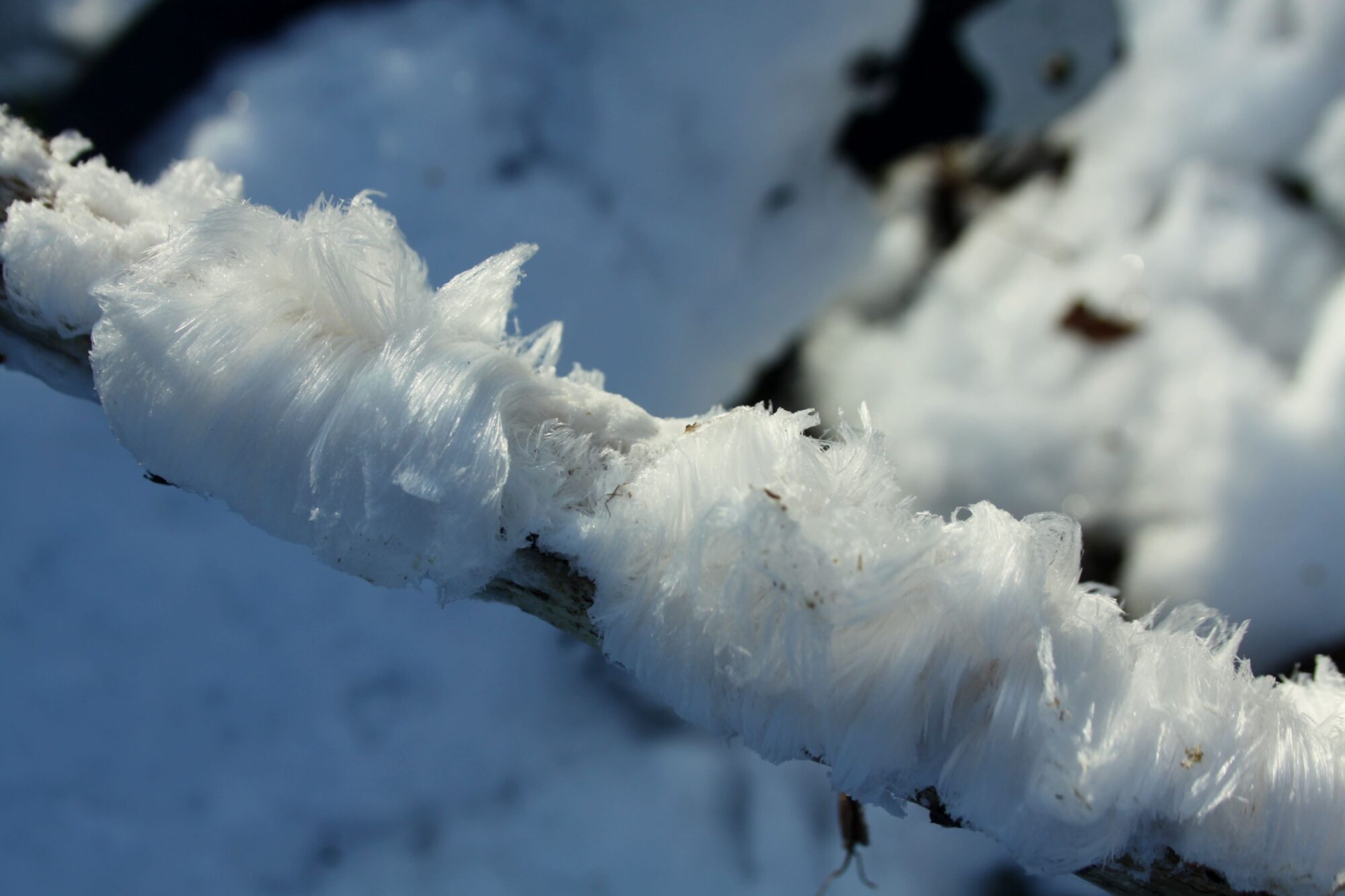 Valokuvaaja: Pirkko Siukonen