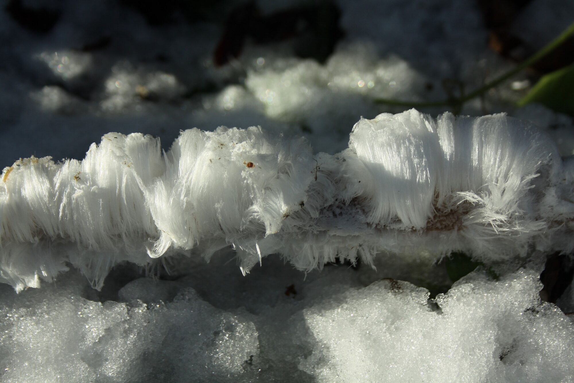 Valokuvaaja: Pirkko Siukonen Valokuvaaja: Pirkko Siukonen