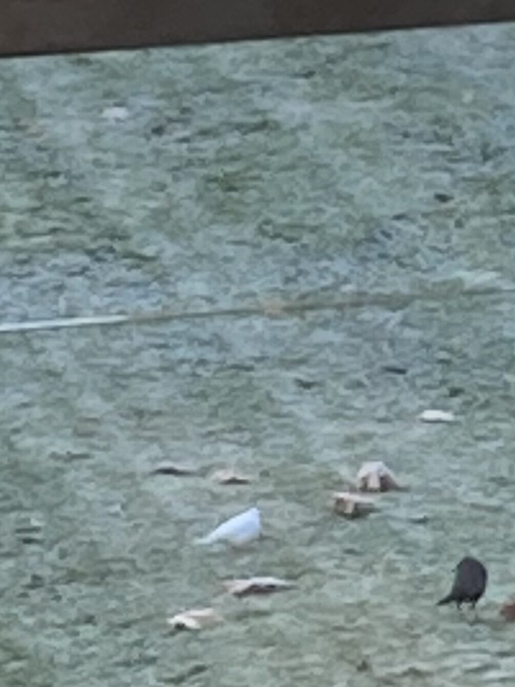 Valokuvaaja: Aliisa Kyrönlahti