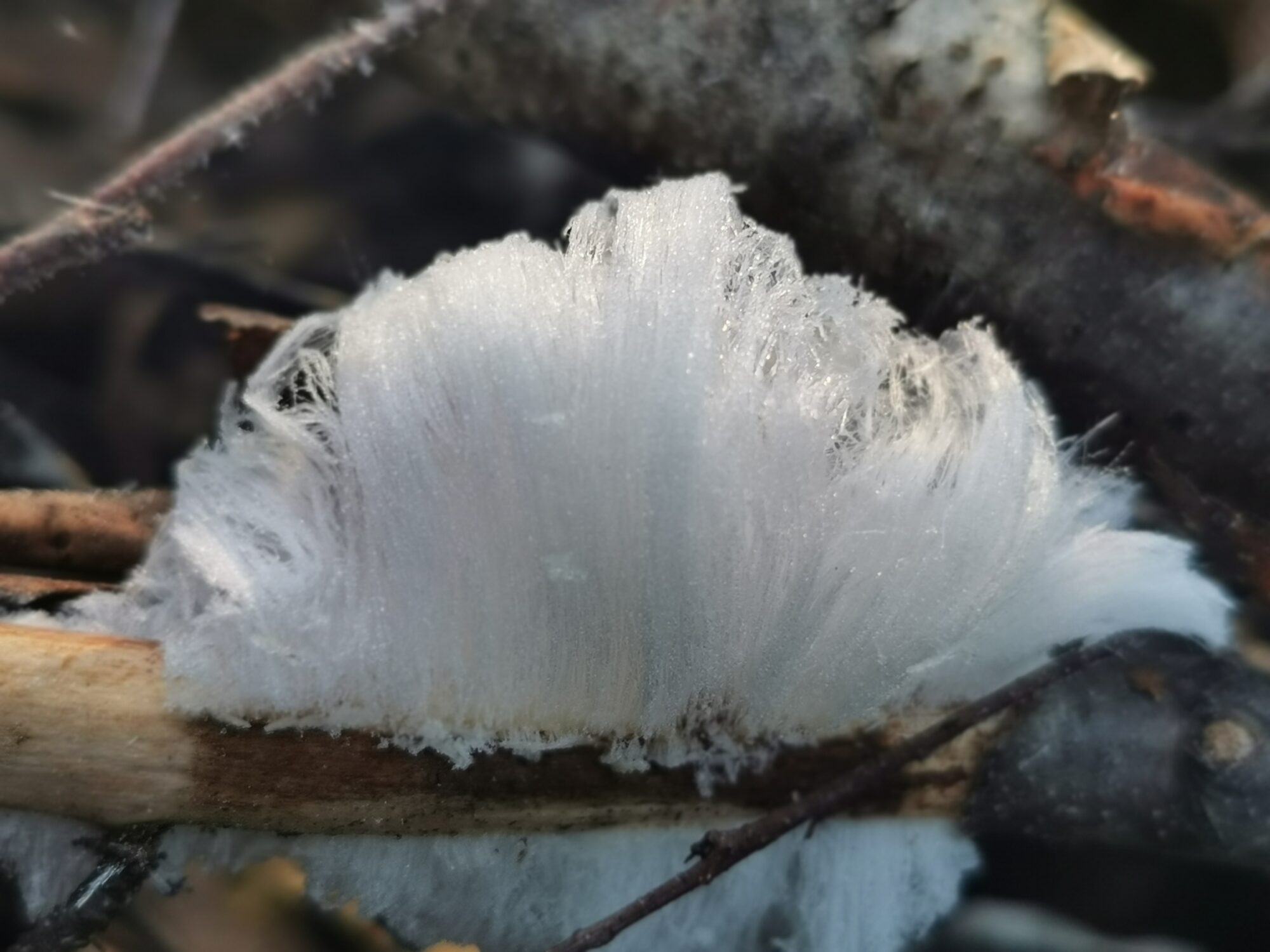 Valokuvaaja: Satu Kuningas