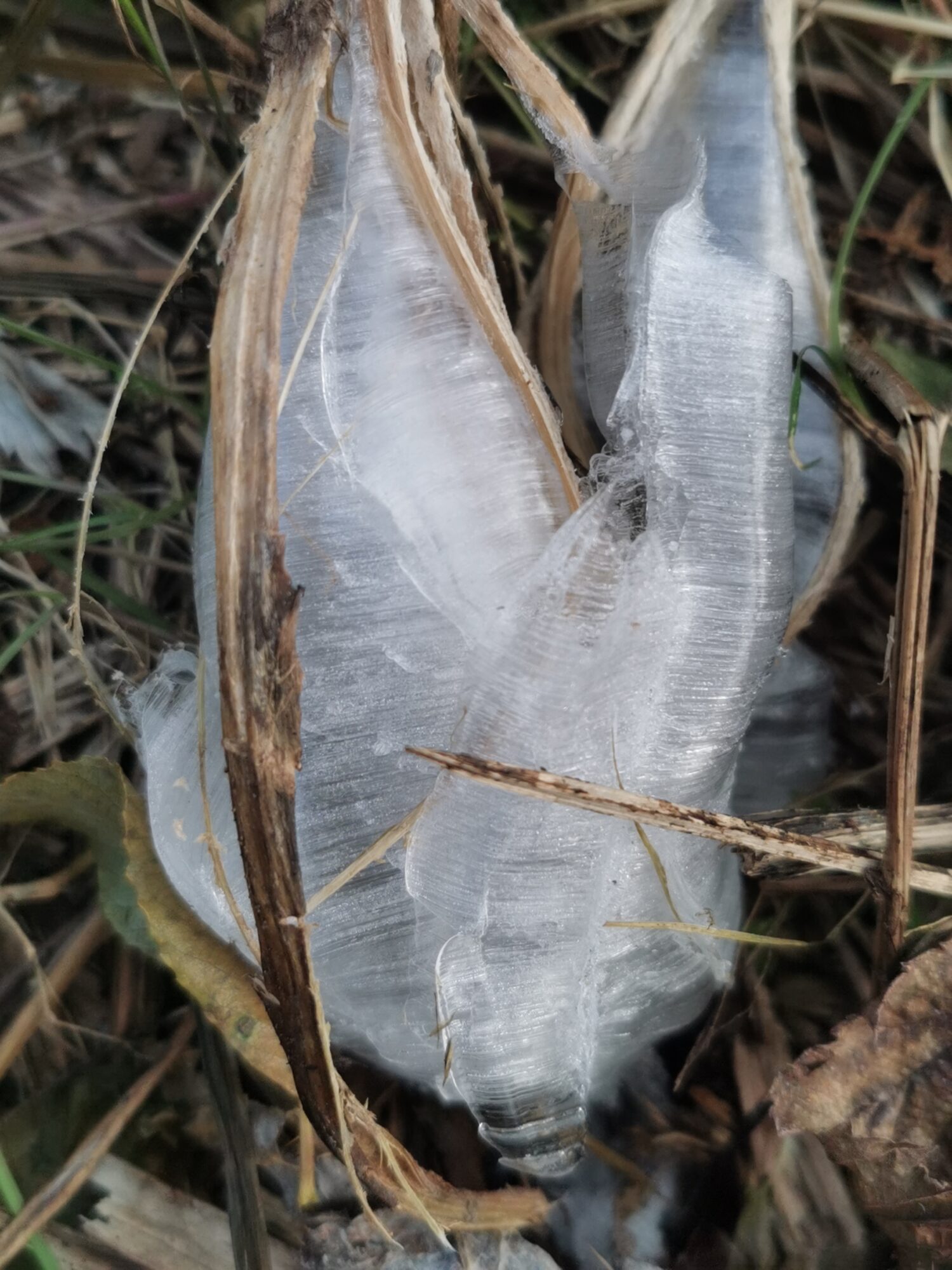 Valokuvaaja: Satu Kuningas