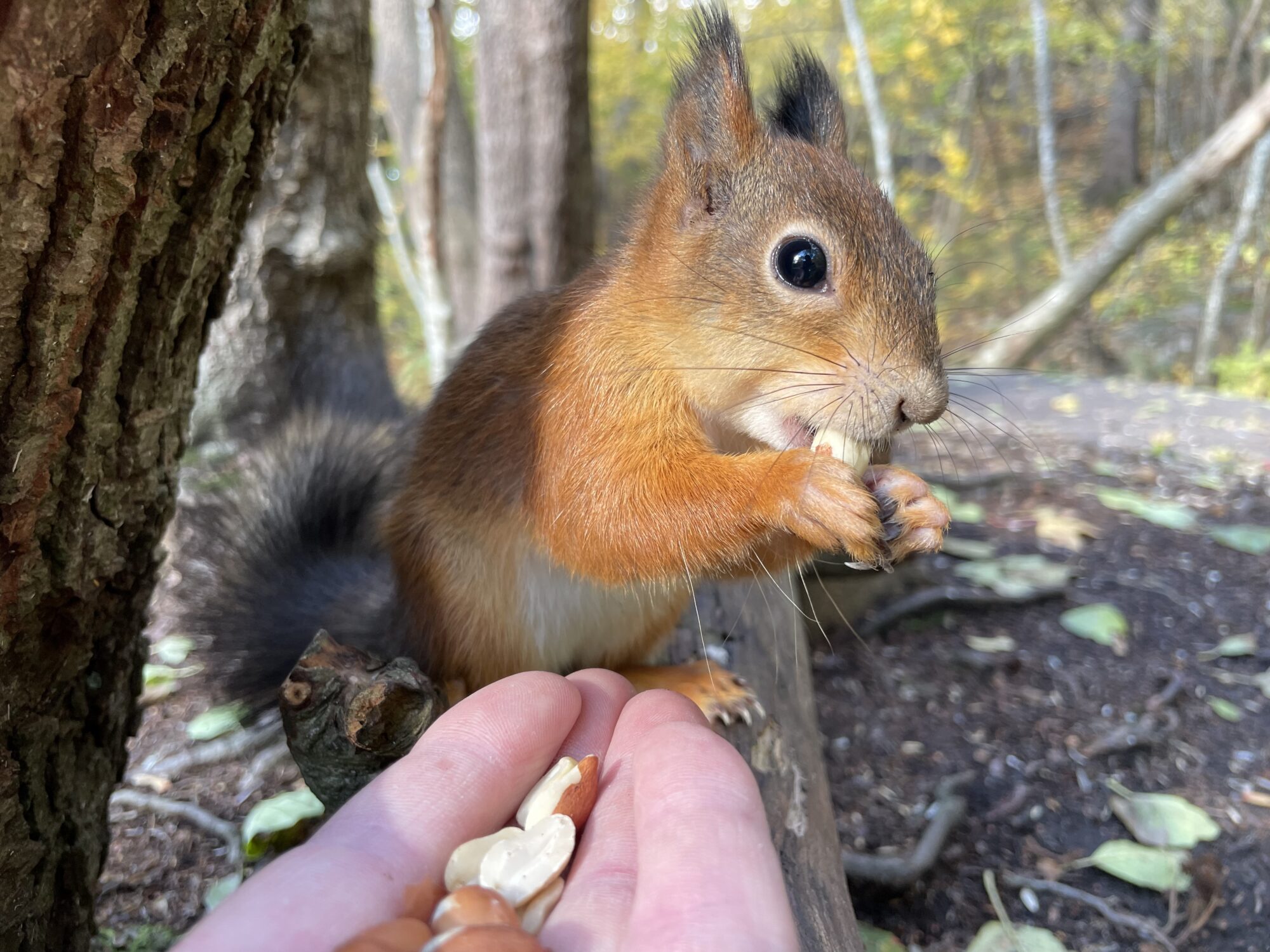 Valokuvaaja: Juhani Peltonen