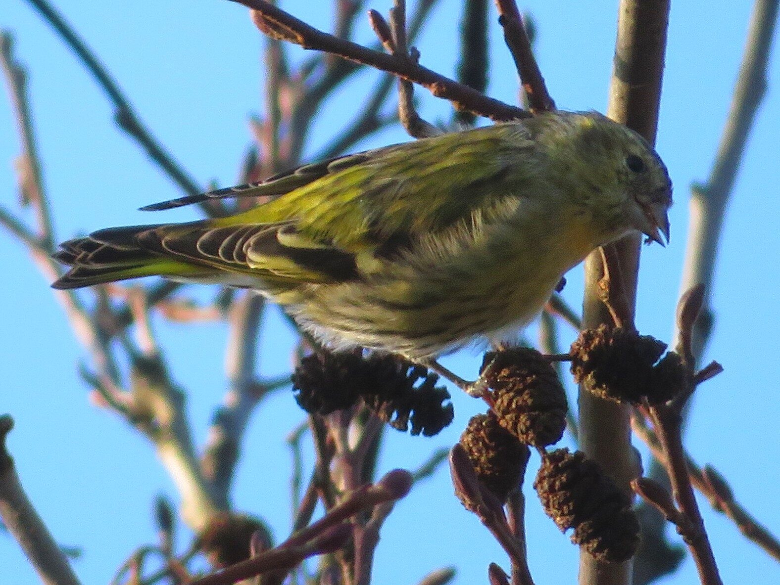 Valokuvaaja: Risto Kangassalo