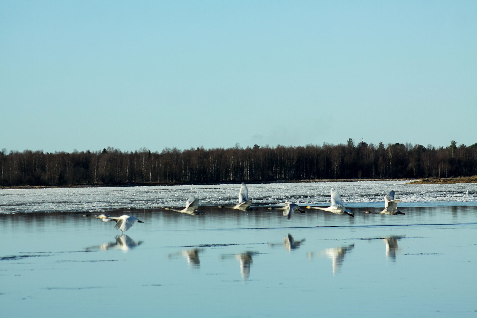 Valokuvaaja: Pirkko Siukonen