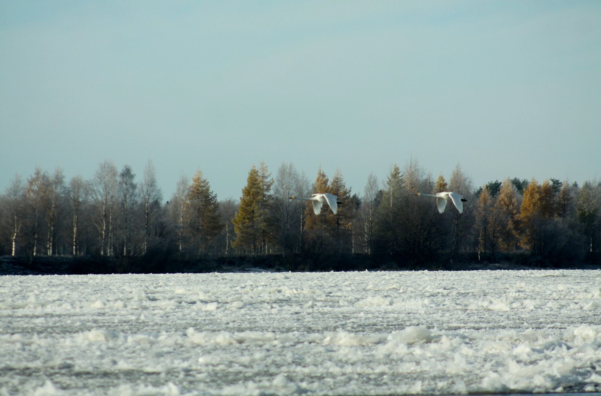Valokuvaaja: Pirkko Siukonen