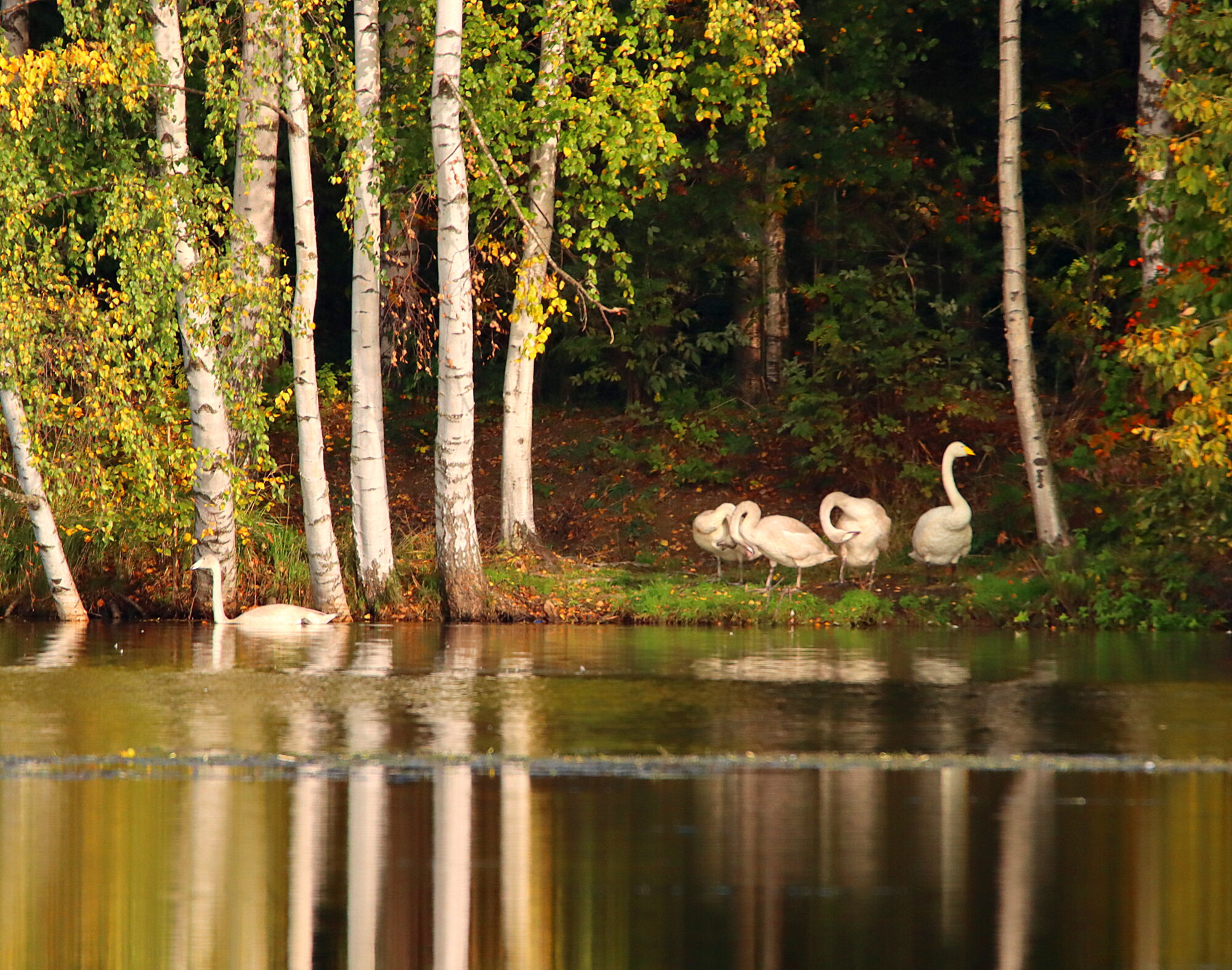 Valokuvaaja: Irja Lehtinen