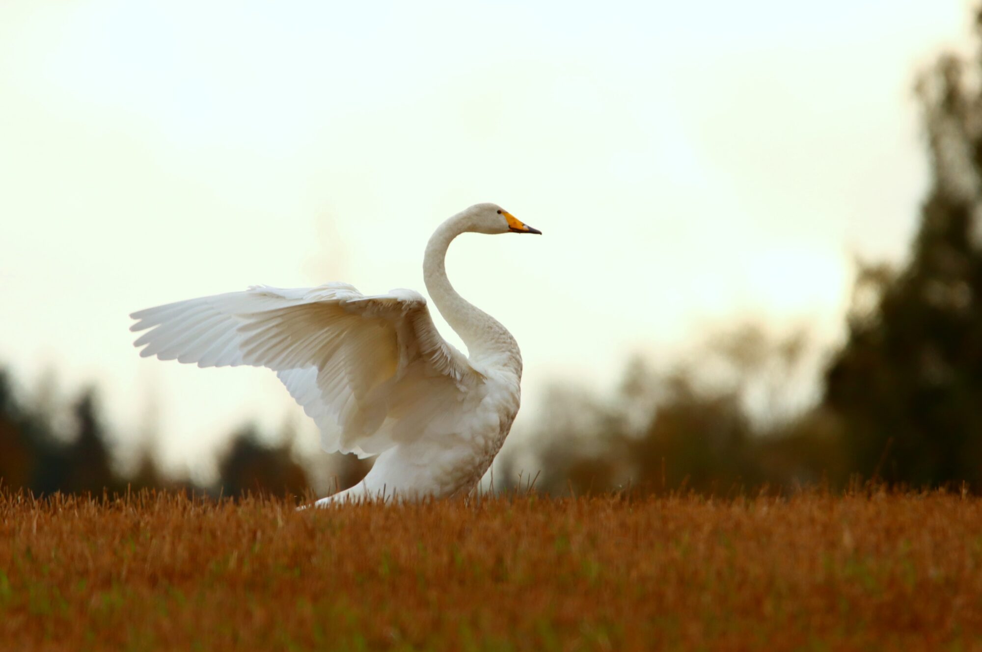 Valokuvaaja: Irja Lehtinen
