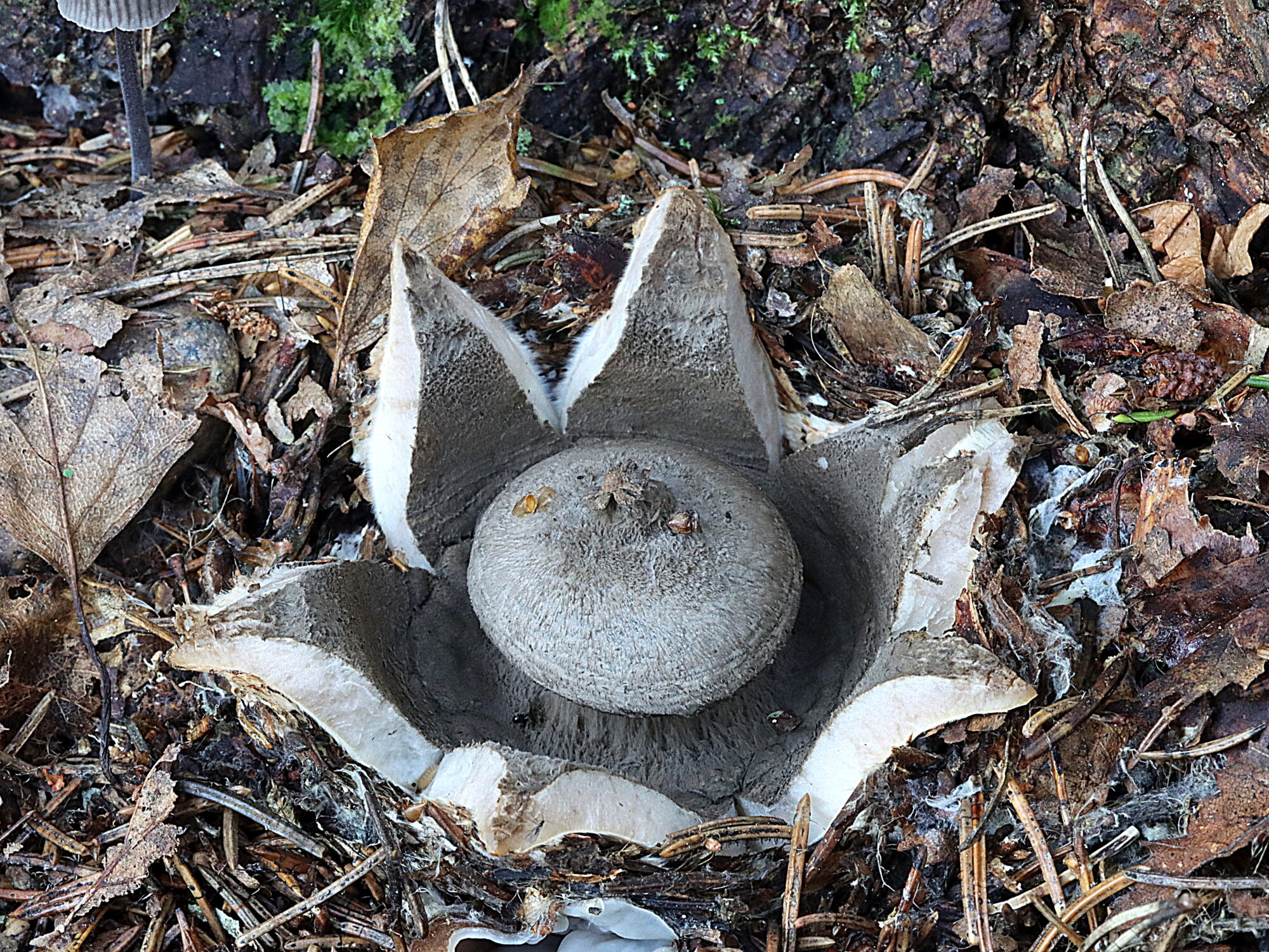 Valokuvaaja: Hannu Rasiranta