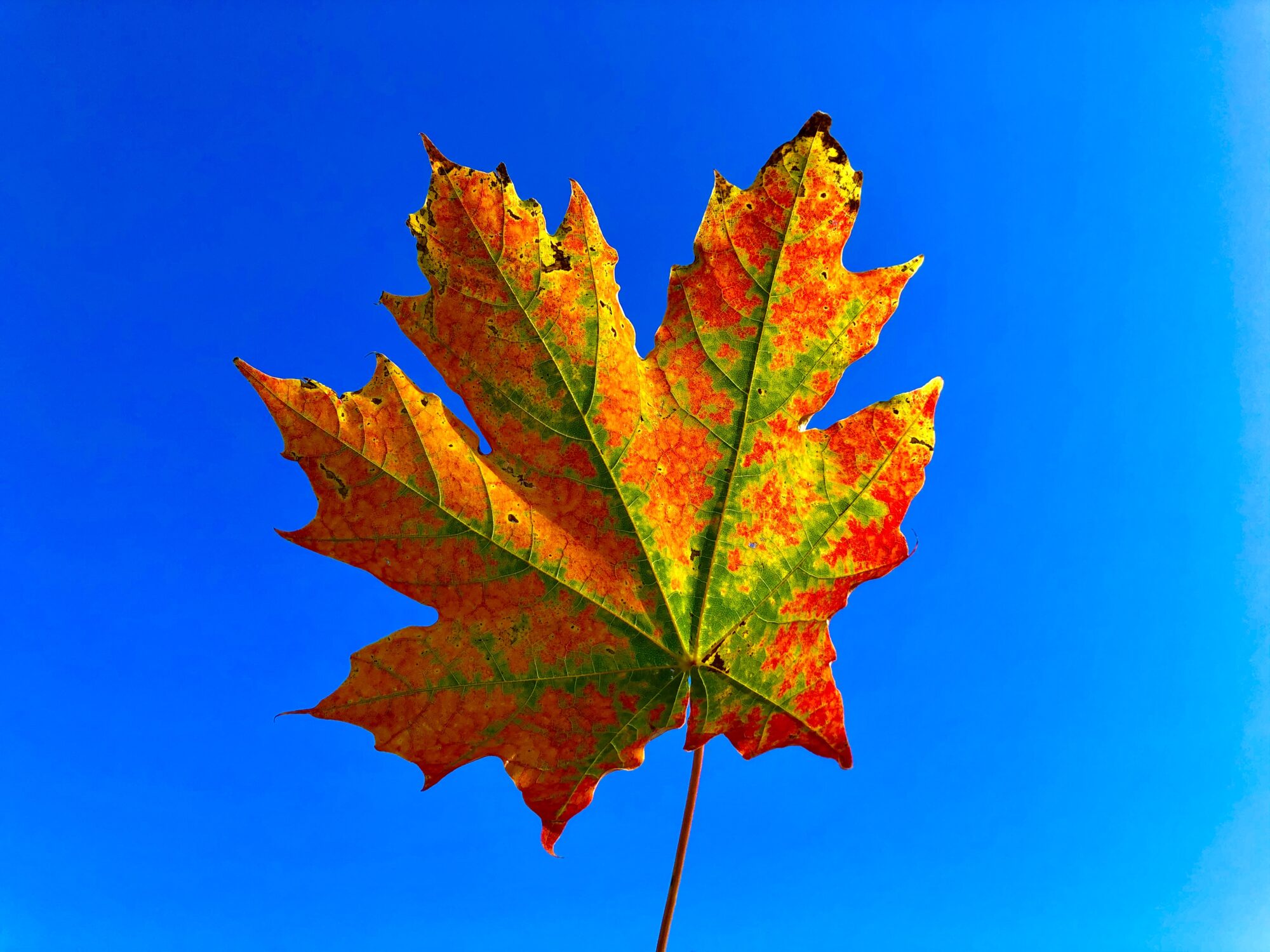 Valokuvaaja: Juhani Peltonen