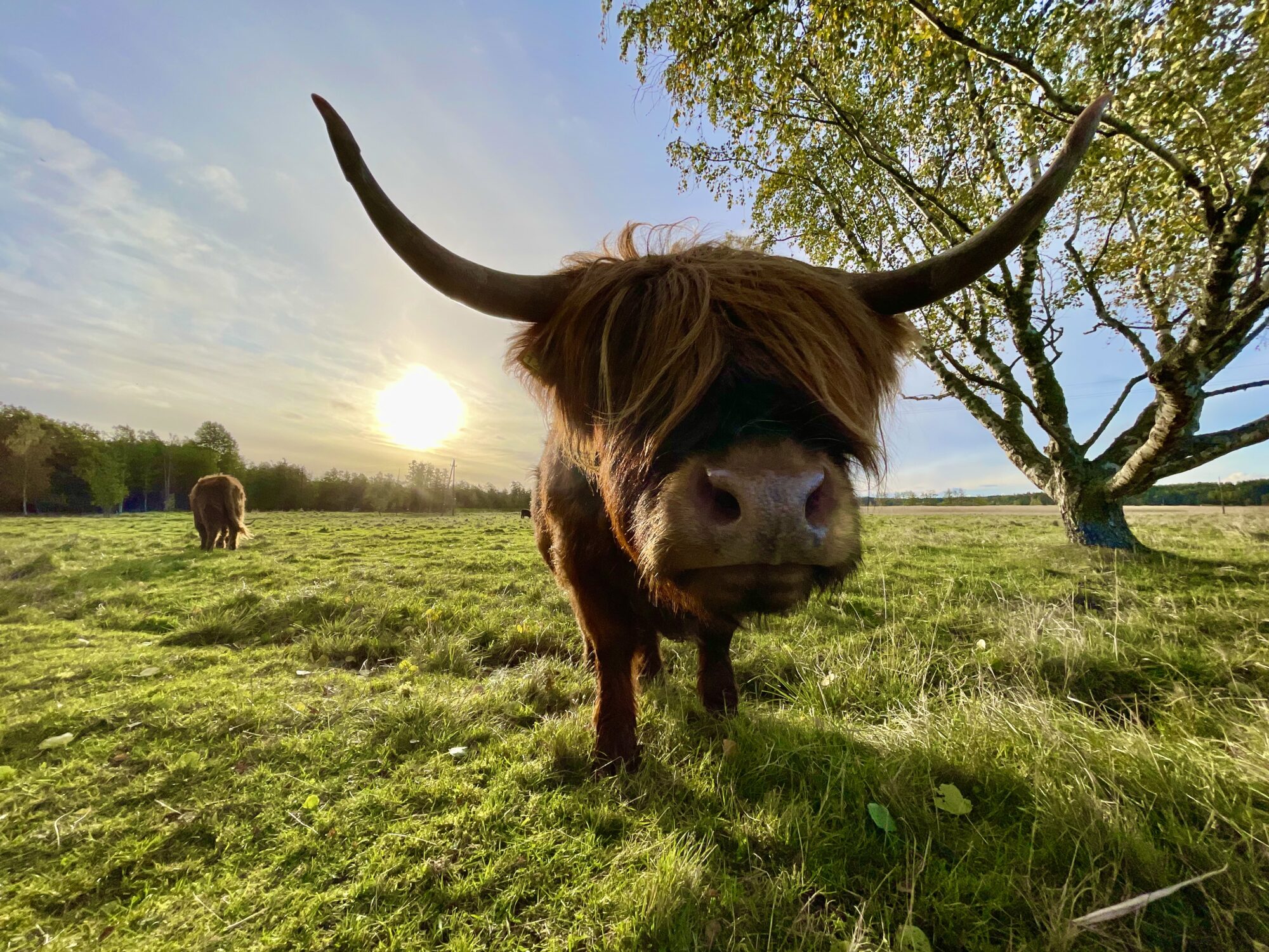 Valokuvaaja: Juhani Peltonen