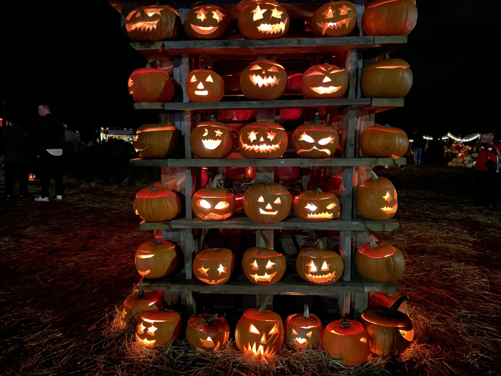 Valokuvaaja: Juhani Peltonen