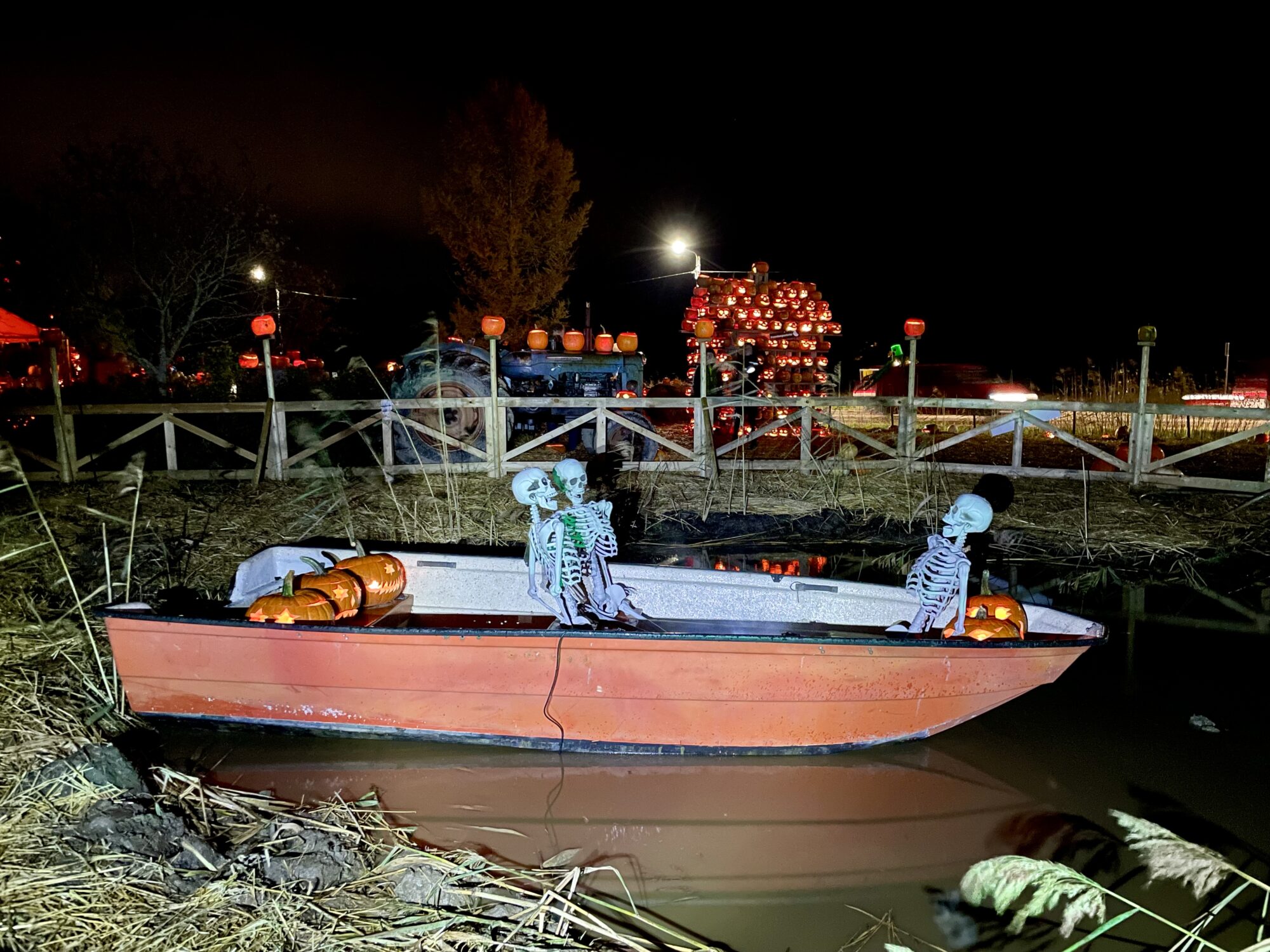 Valokuvaaja: Juhani Peltonen Valokuvaaja: Juhani Peltonen