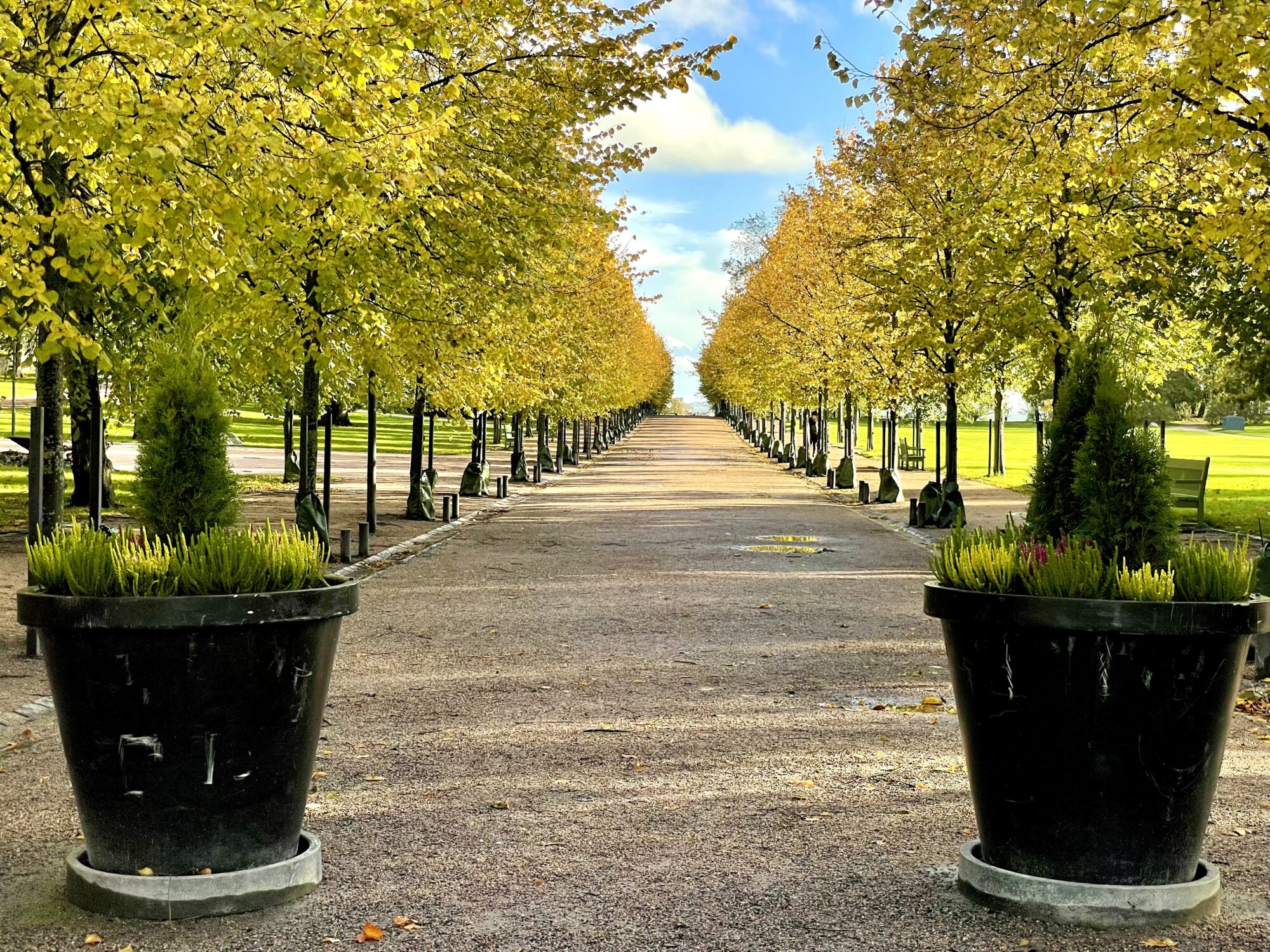 Valokuvaaja: Juhani Peltonen