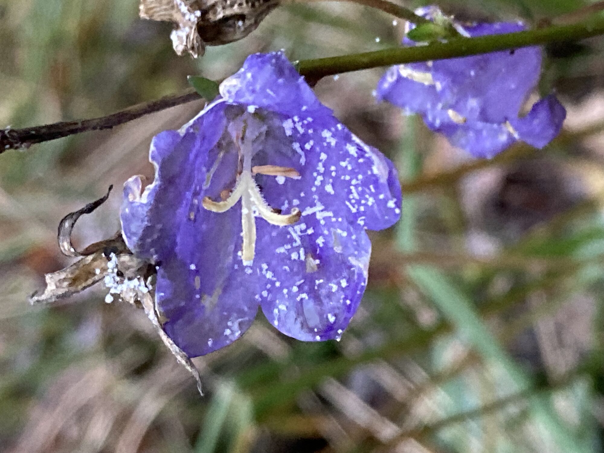 Valokuvaaja: Milla Loot