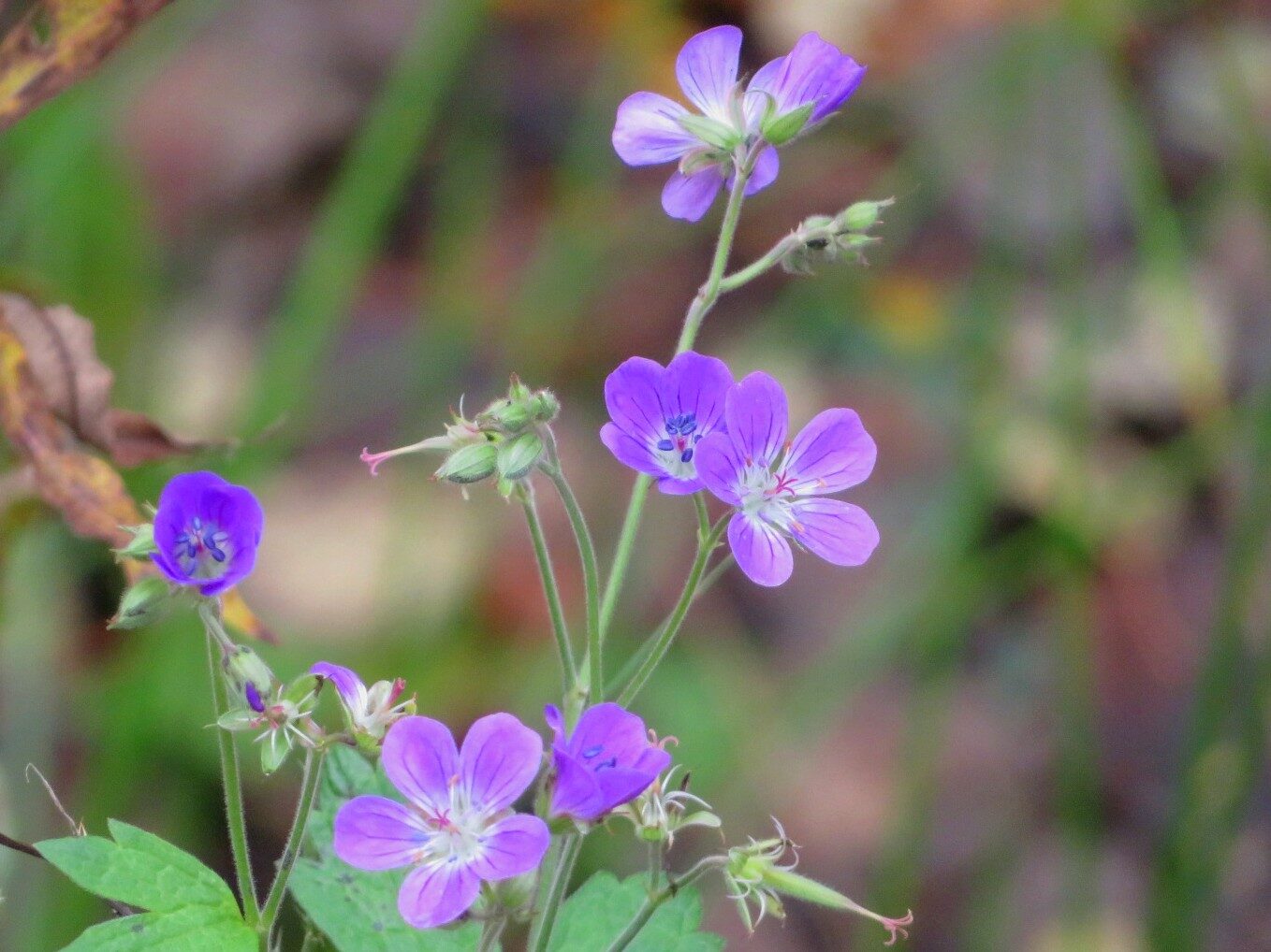 Valokuvaaja: Risto Kangassalo