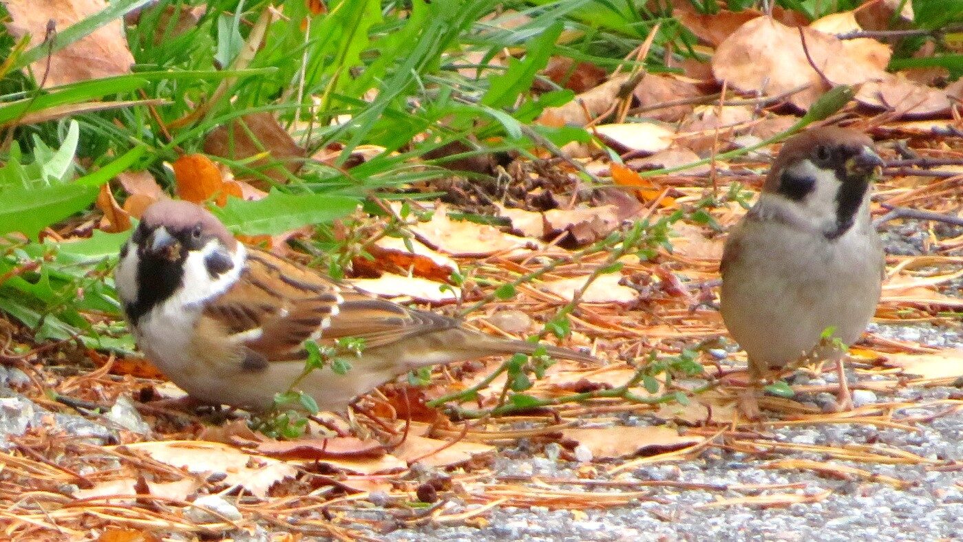 Valokuvaaja: Risto Kangassalo Valokuvaaja: Risto Kangassalo