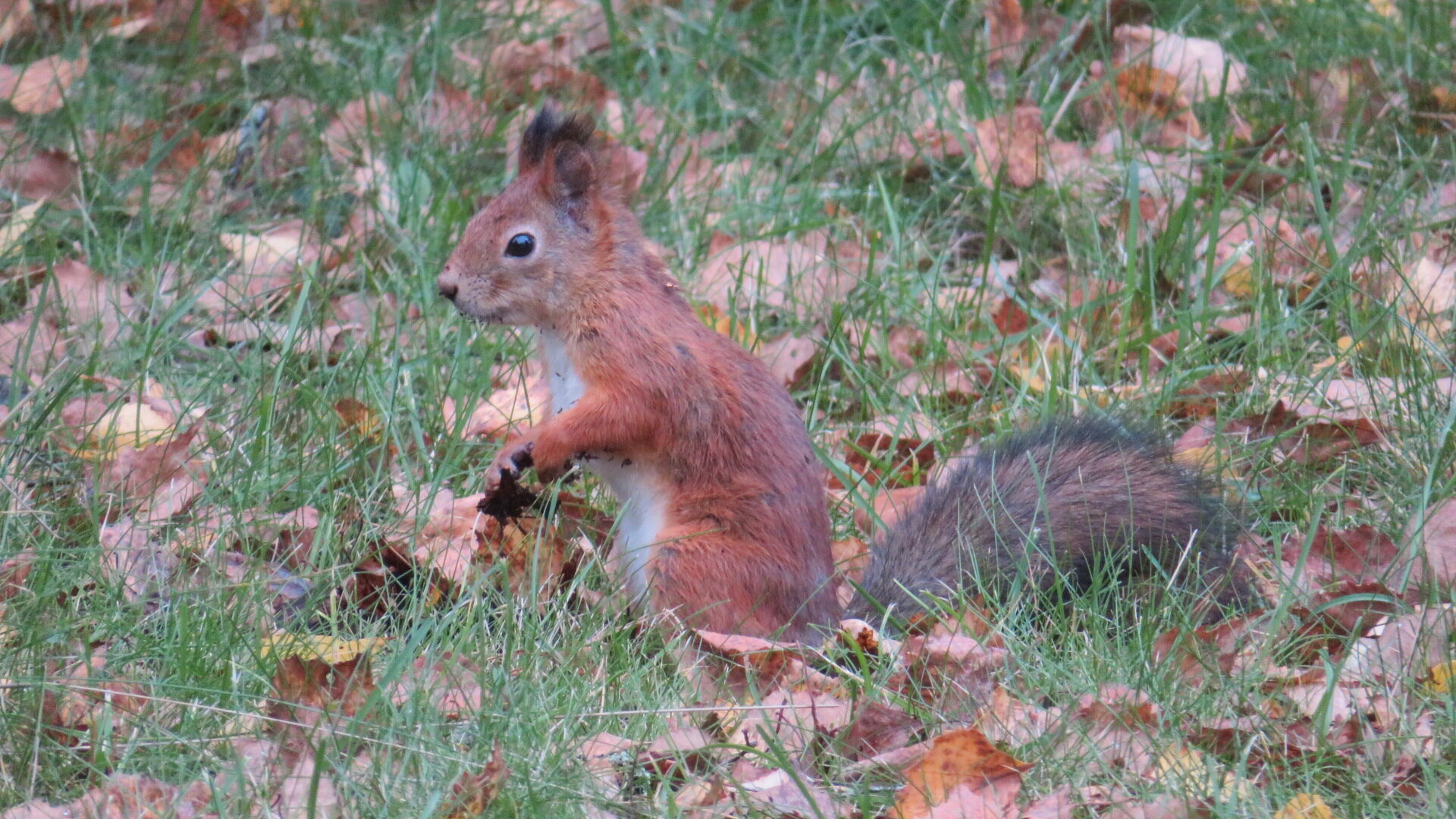 Valokuvaaja: Risto Kangassalo