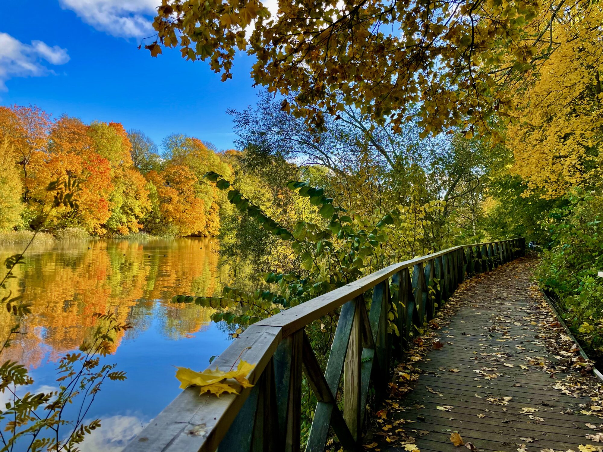 Valokuvaaja: Juhani.peltonen@icloud.com