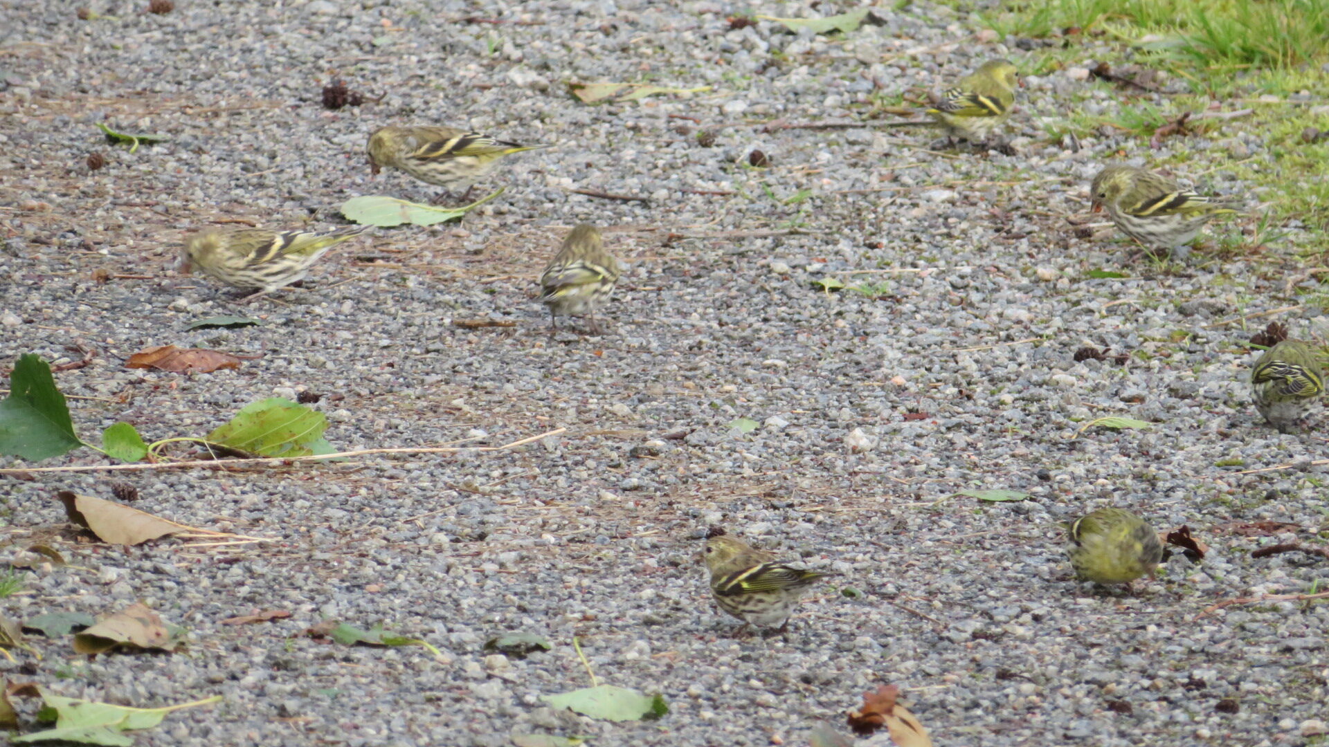 Valokuvaaja: Risto Kangassalo