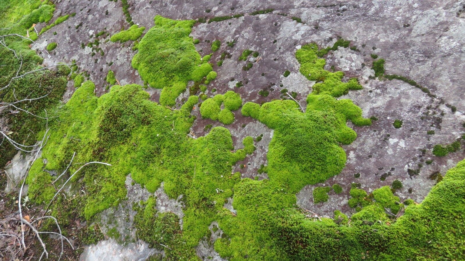 Valokuvaaja: Risto Kangassalo